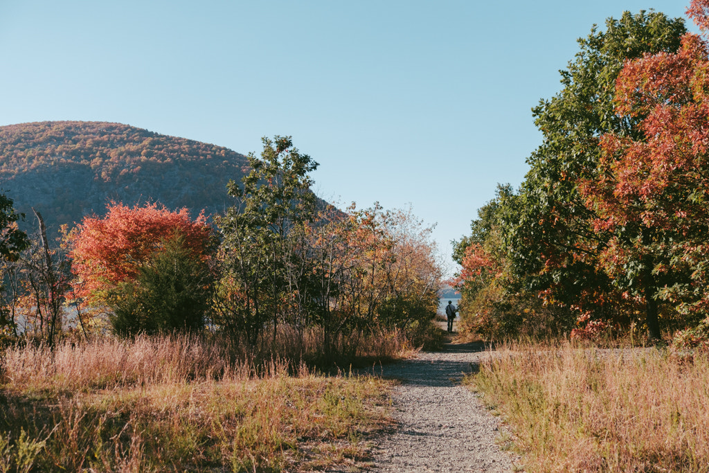 Fujifilm X-Pro2 + Fujifilm XF 18-135mm F3.5-5.6 R LM OIS WR sample photo. Autumn colors in cold spring, ny photography