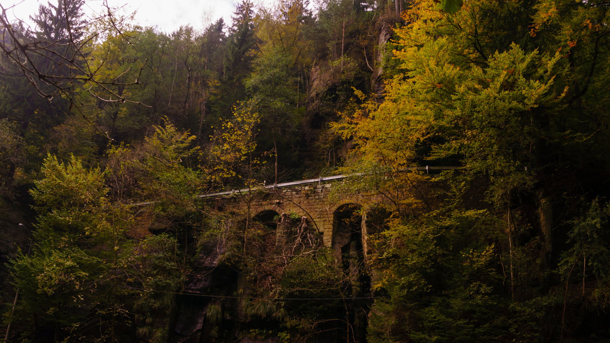 Sony Alpha NEX-6 sample photo. Forest road next to hrensko photography