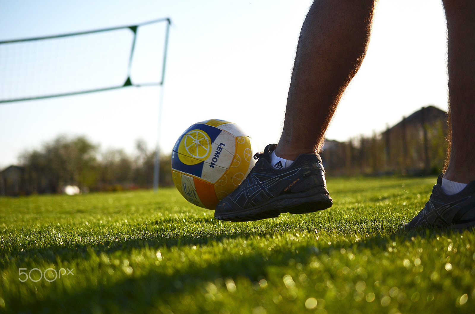 Nikon AF-S DX Micro Nikkor 40mm F2.8 sample photo. Ball photography