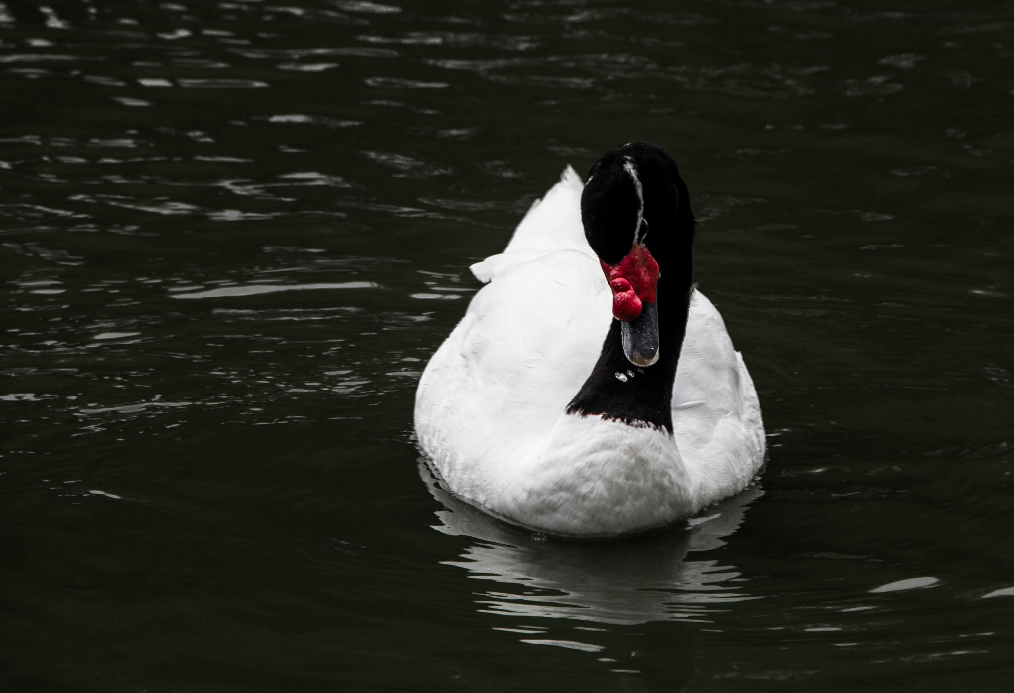 Sigma 18-250mm F3.5-6.3 DC OS HSM sample photo