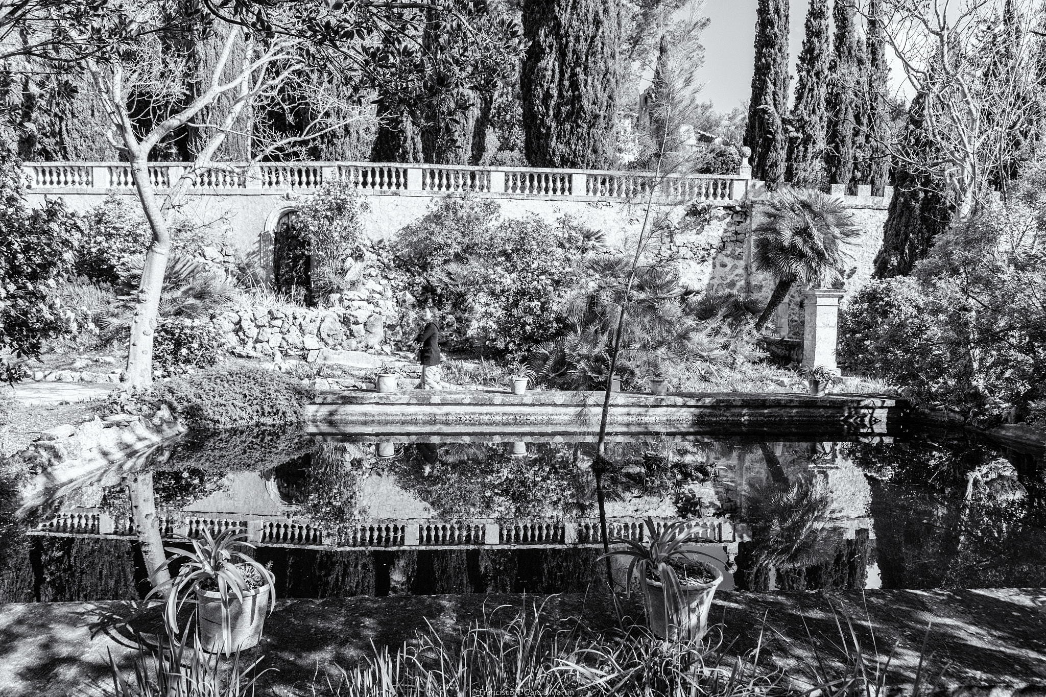 Sigma 24-105mm f/4 DG OS HSM | A sample photo. Jardines de raixa vi photography