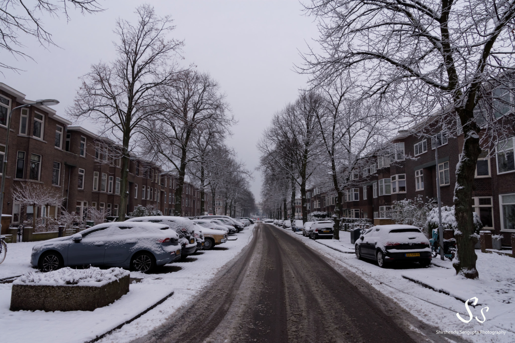 Nikon D7200 sample photo