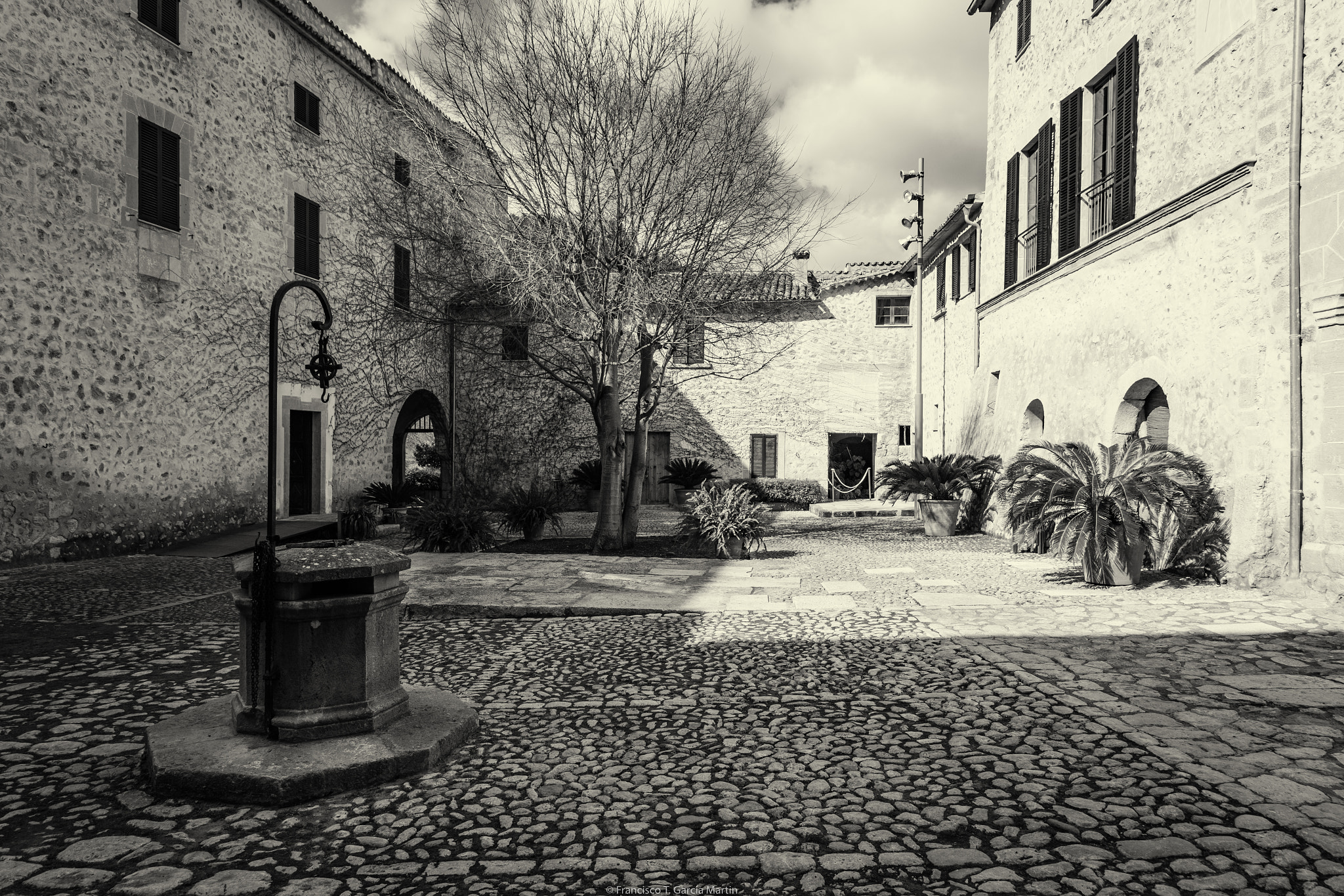 Sigma 24-105mm f/4 DG OS HSM | A sample photo. Jardines de raixa xii photography