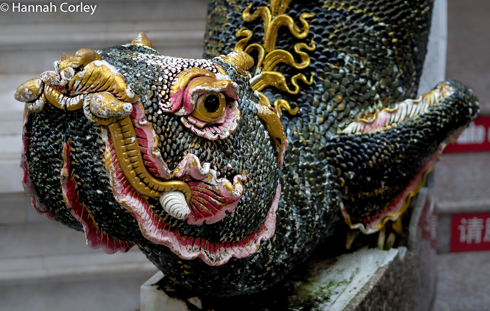 Olympus OM-D E-M10 II + Olympus M.Zuiko Digital 45mm F1.8 sample photo. Chiang mai photography