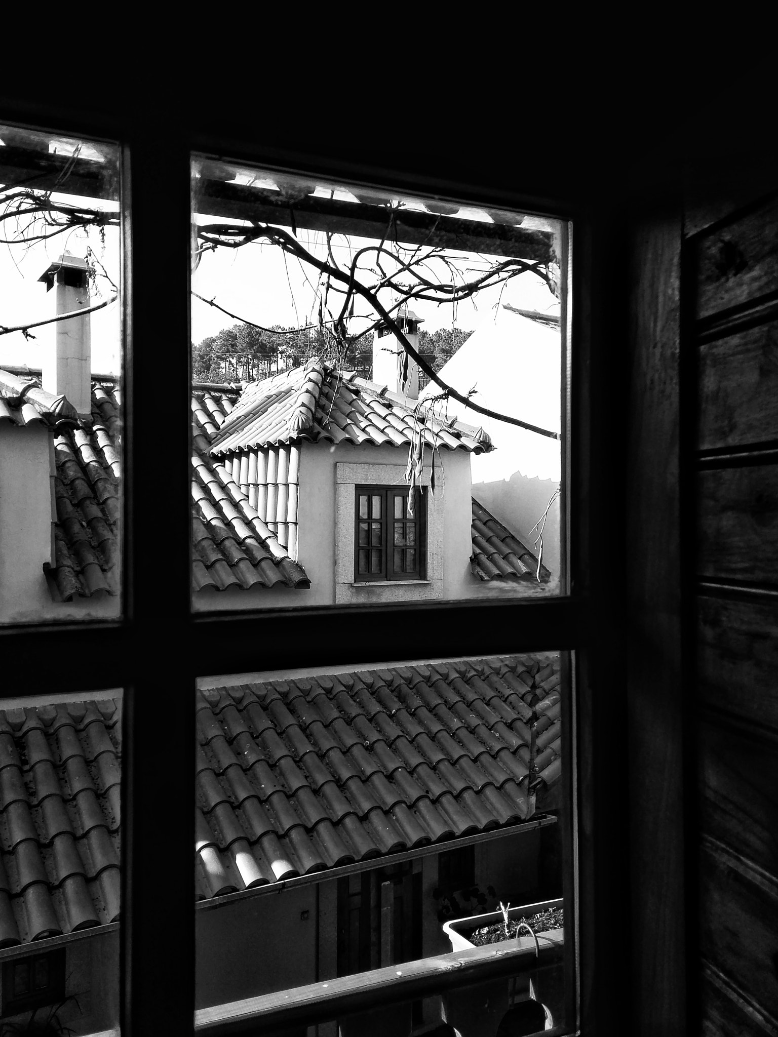 LG G FLEX2 sample photo. Window photography