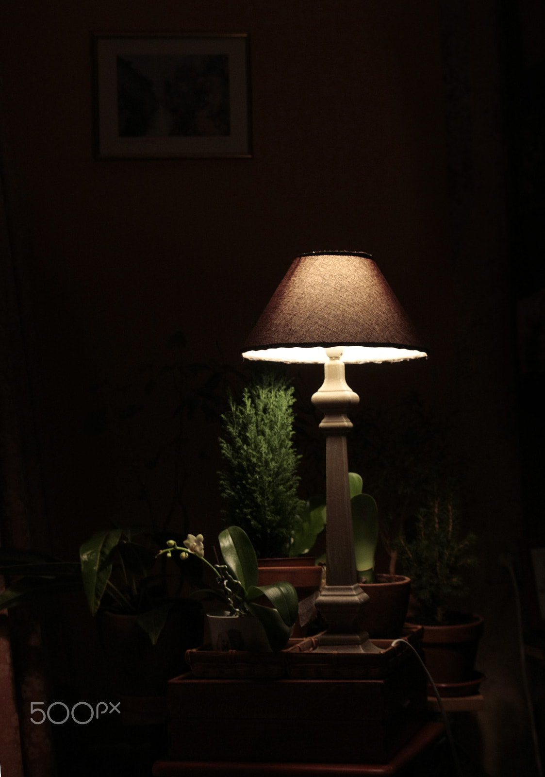 Canon EOS 40D sample photo. Night light photography