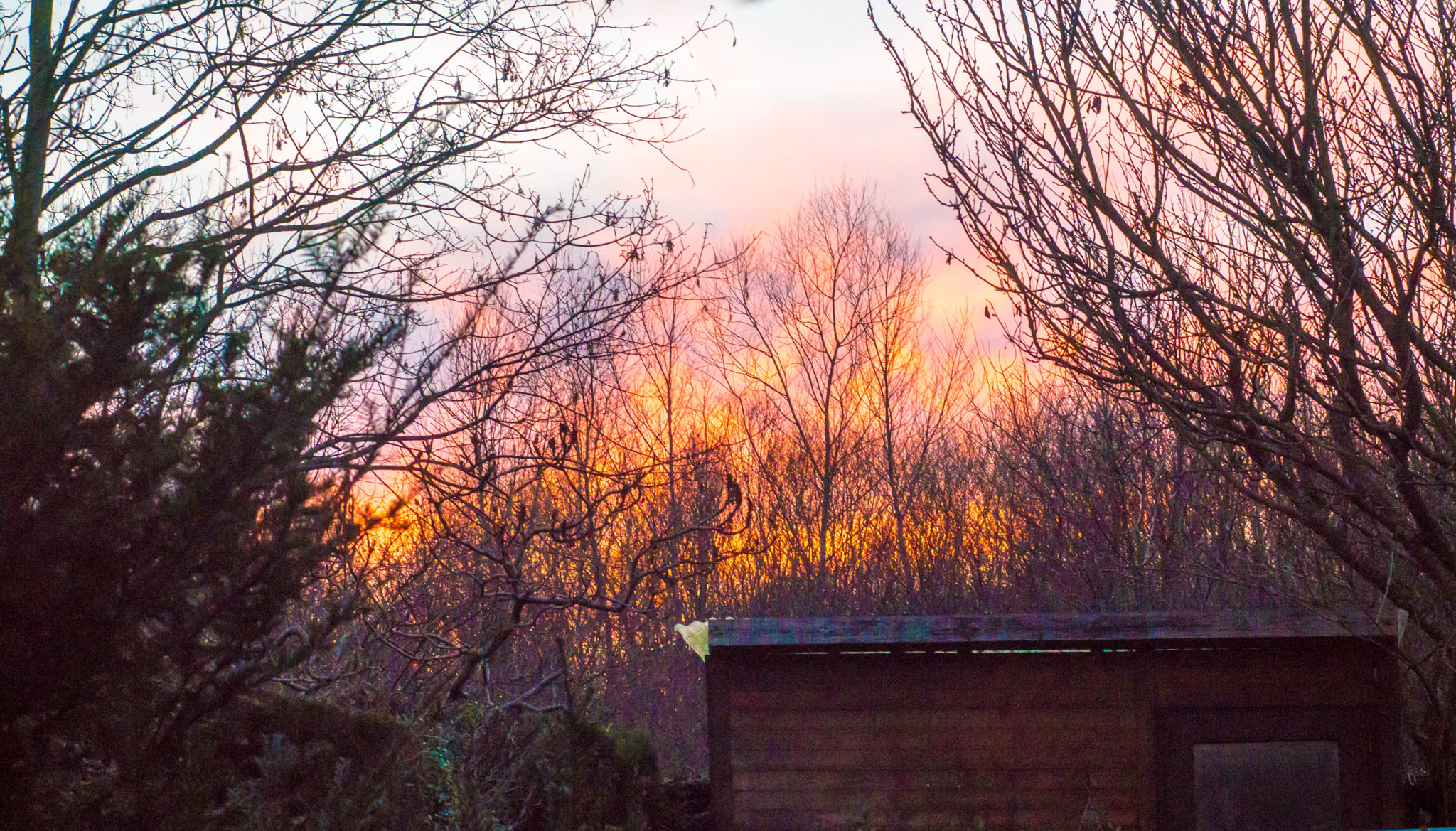 Sony a6000 sample photo. Abendfeuer im schrebergarten photography