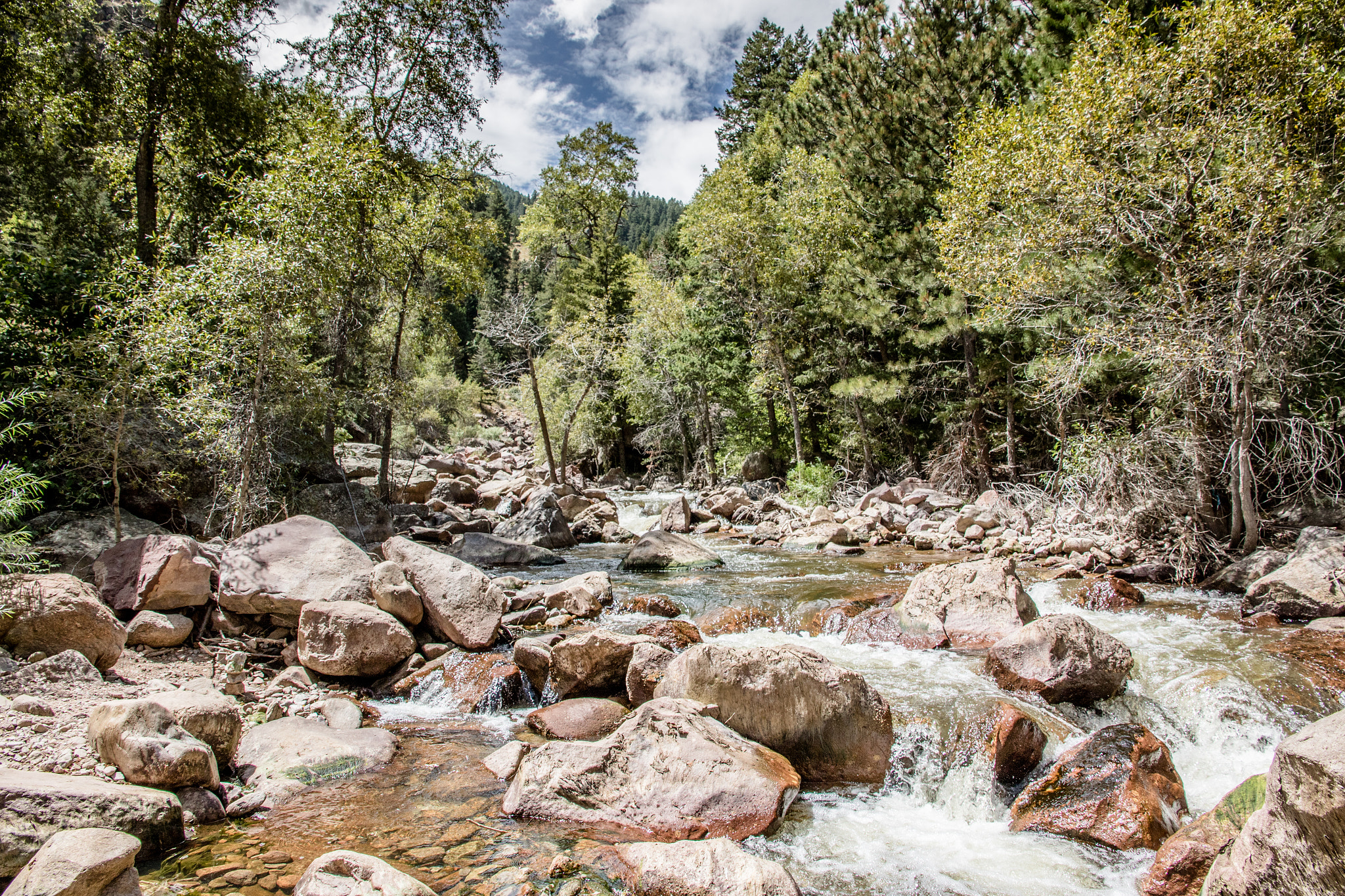 Canon EOS 7D Mark II sample photo. Cascading stream on the way to the ghost town of st. elmo, co photography