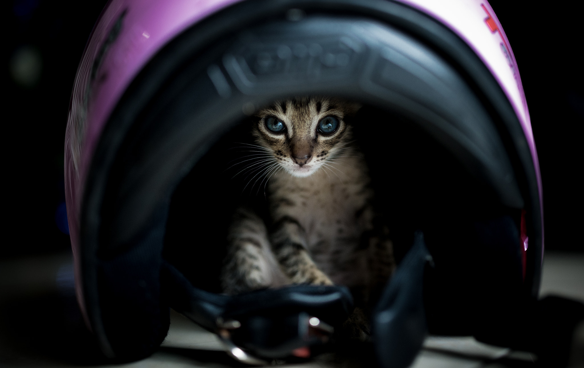 Nikon D600 + Sigma 35mm F1.4 DG HSM Art sample photo. Dreaming photography