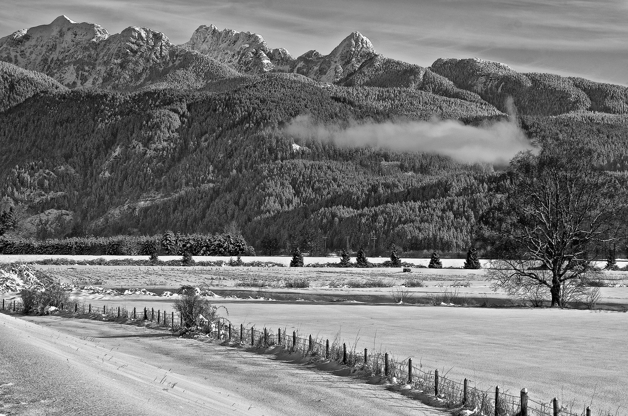 Pentax K-5 + Pentax smc DA 55-300mm F4.0-5.8 ED sample photo. Golden ears b&w photography