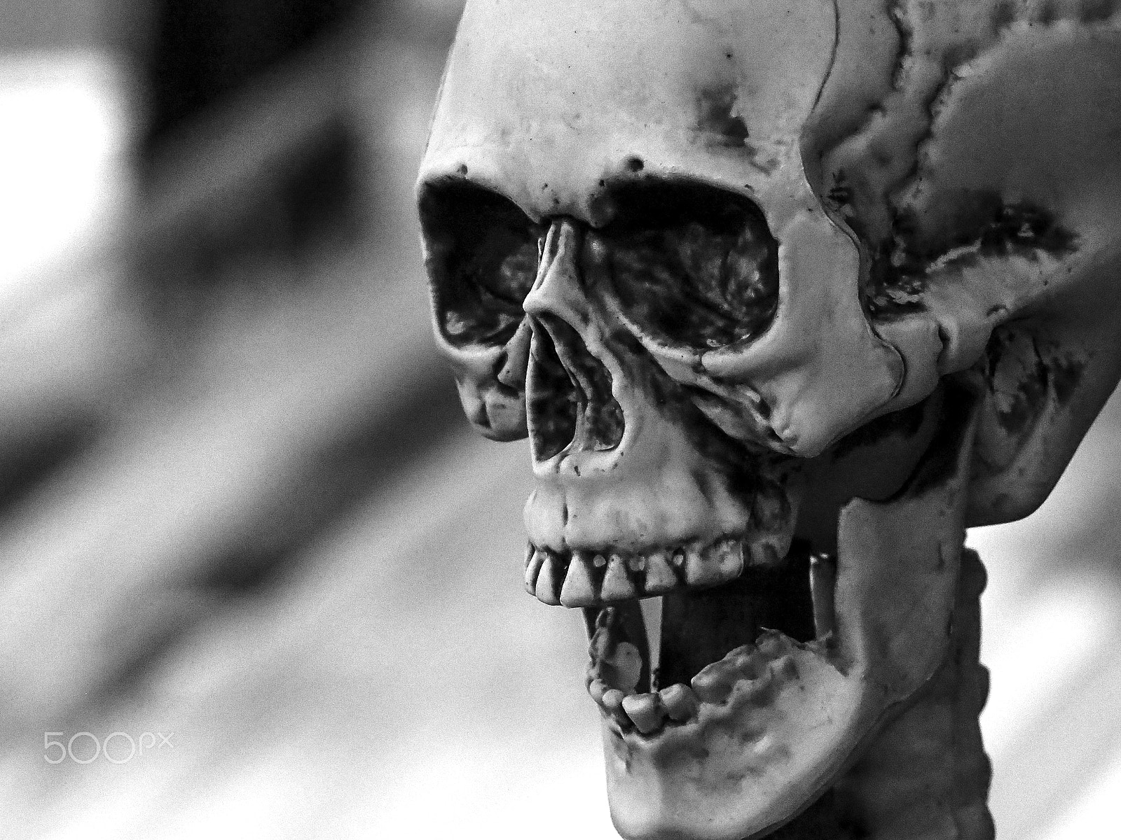 Olympus OM-D E-M5 sample photo. Plastic halloween skeleton decoration black and white photography