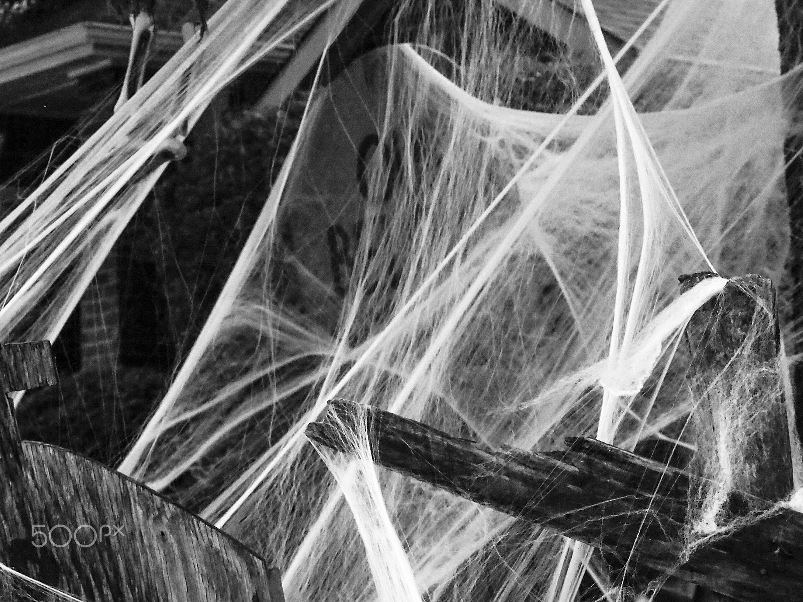 Olympus OM-D E-M5 sample photo. Fake spider web as halloween decor in black and white photography