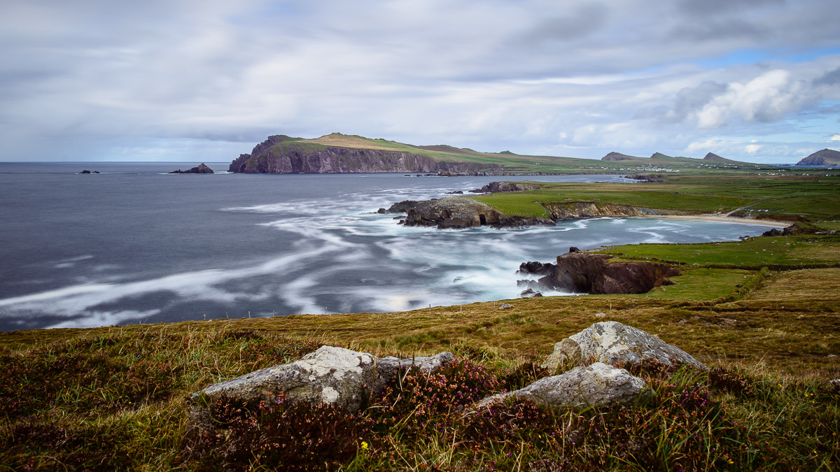 Nikon D800 + Nikon AF-S Nikkor 24mm F1.4G ED sample photo. Dingle photography