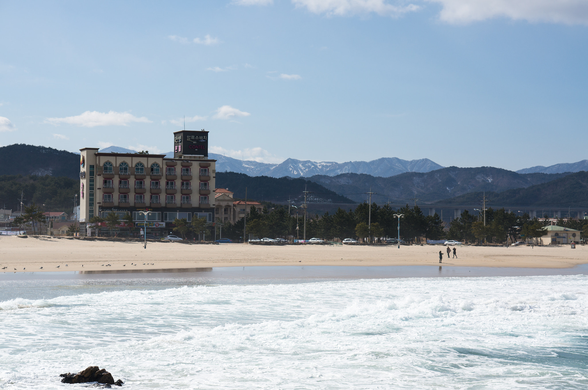 Sony Alpha NEX-6 + E 50mm F1.8 OSS sample photo. Winter beach #1 photography