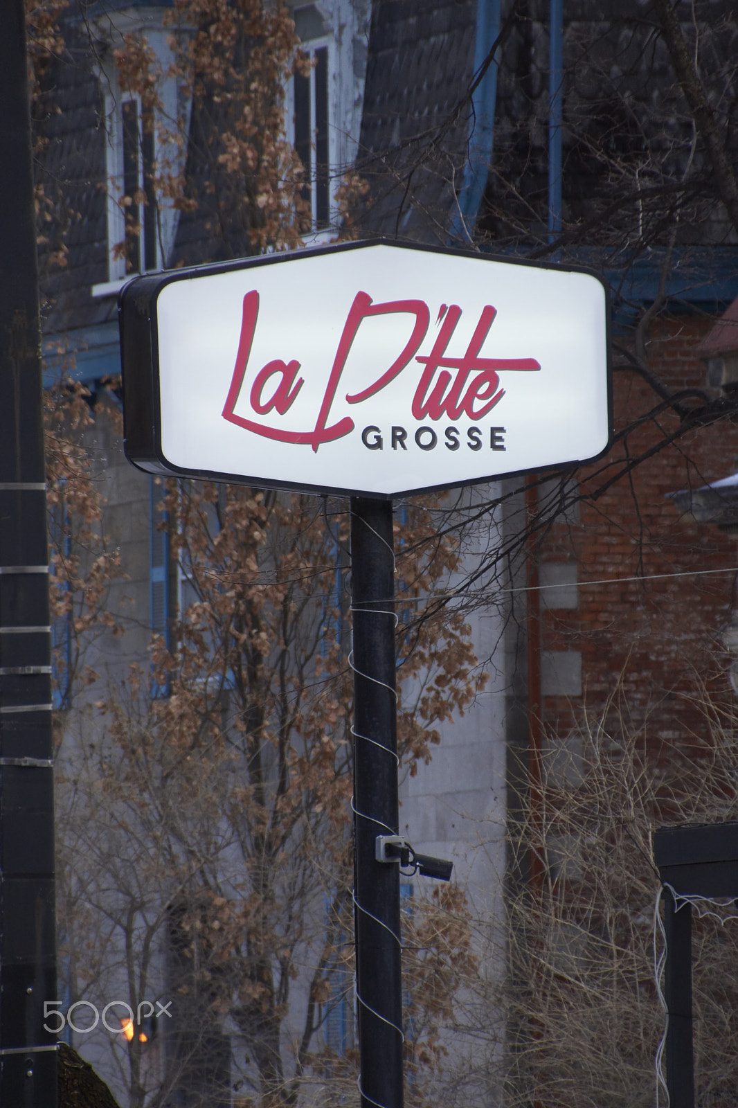 DT 18-270mm F3.5-6.3 SSM sample photo. Humour, la petite grosse photography