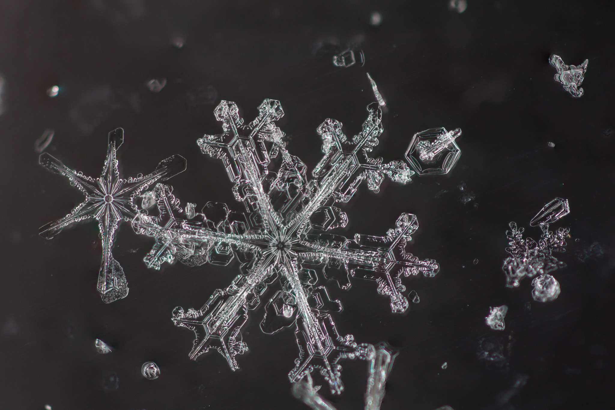 Canon EOS 5D Mark II sample photo. Stellar snow crystal photography