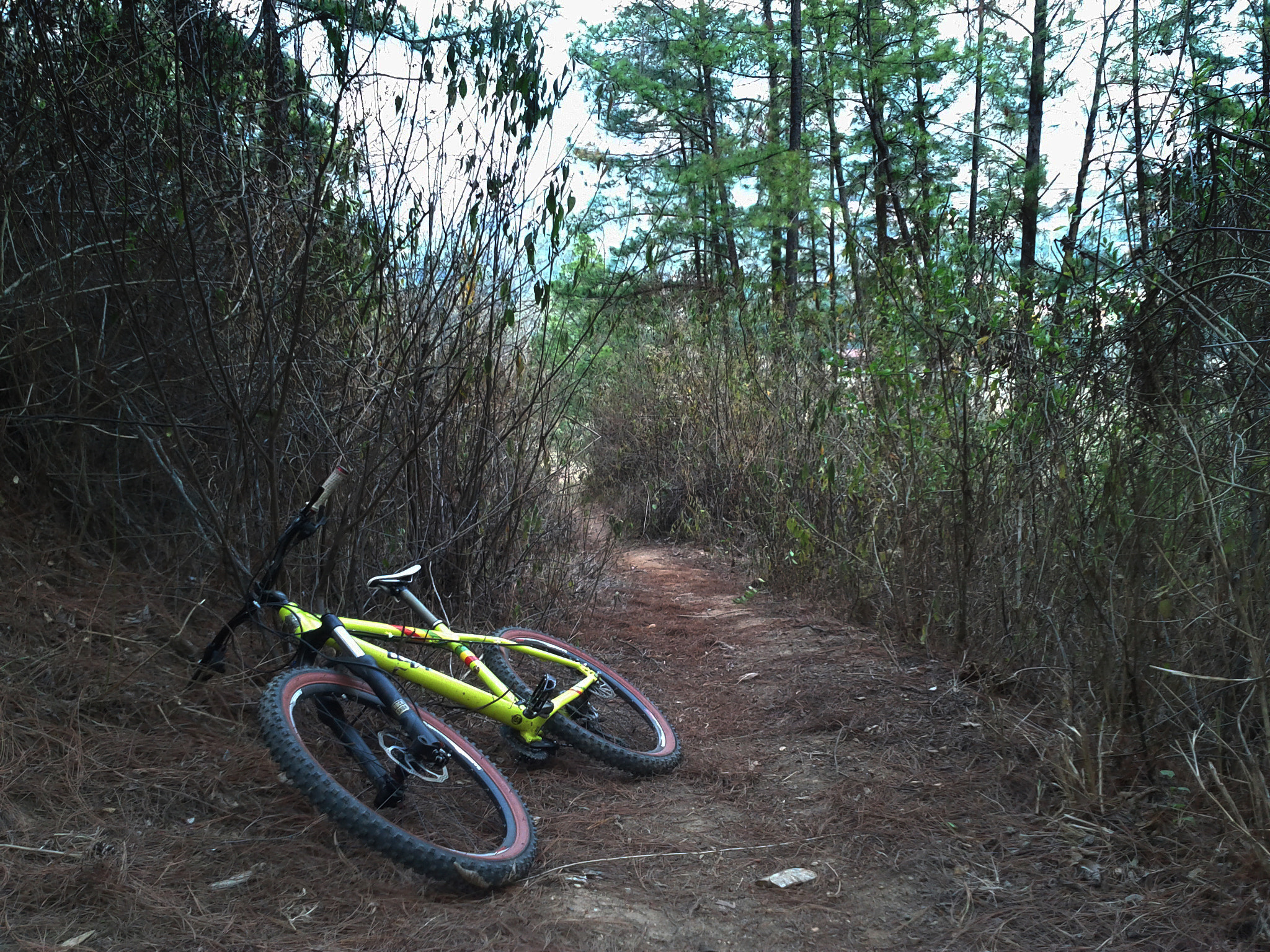 Google Nexus S sample photo. Bikes photography