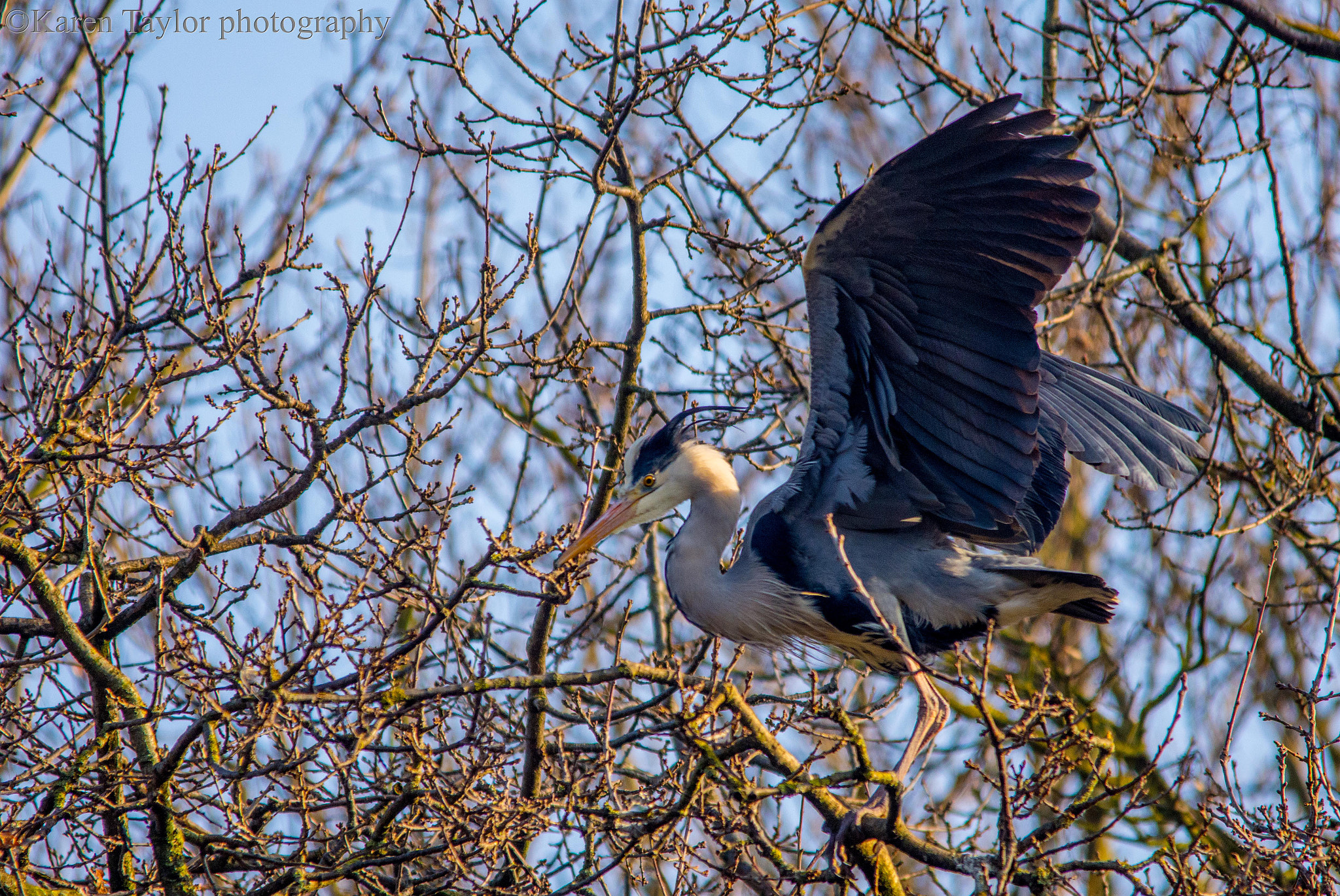 Nikon D7200 + Sigma 150-500mm F5-6.3 DG OS HSM sample photo. Dsc photography