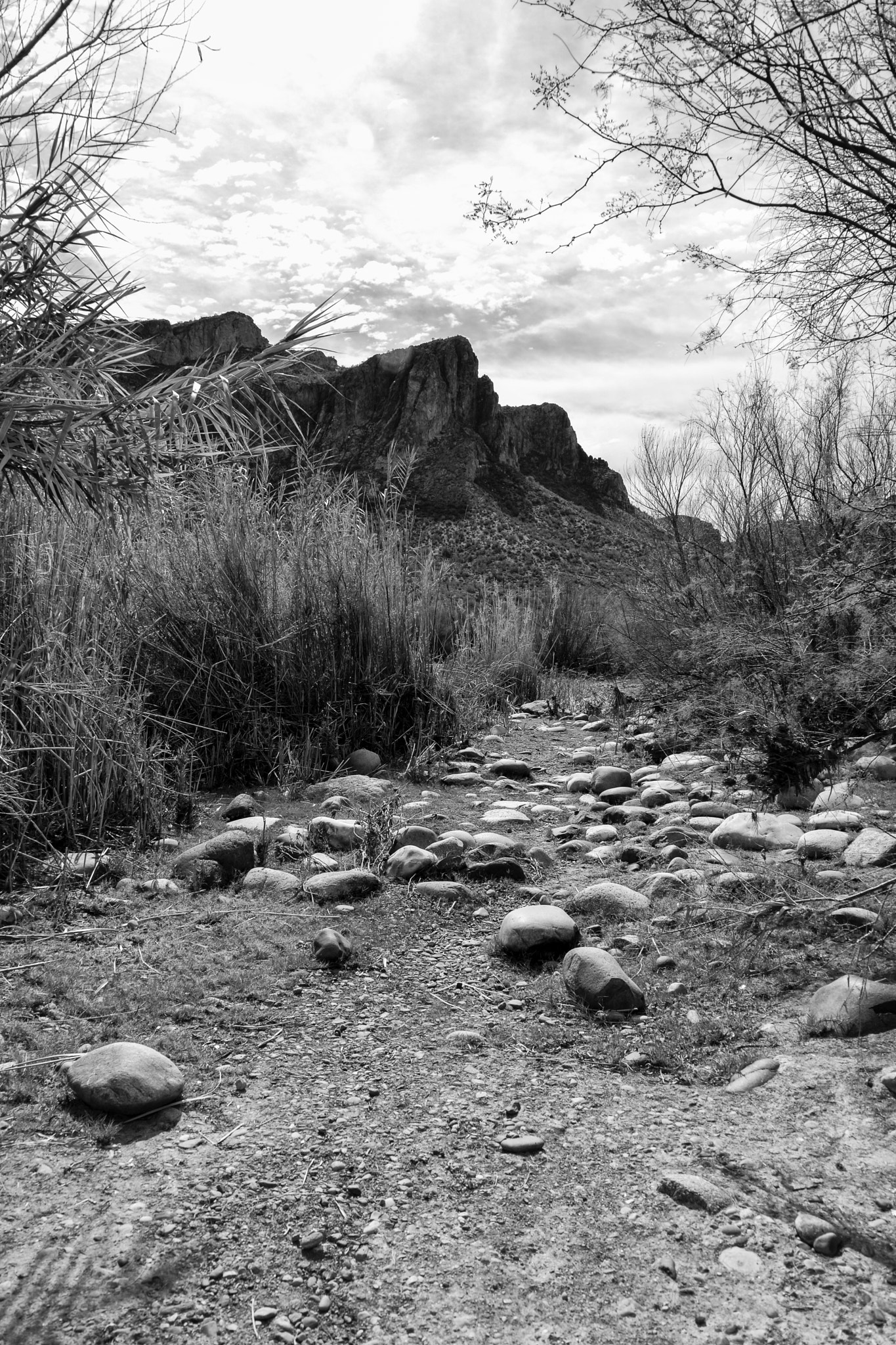 Nikon D5200 sample photo. Dry river bed photography