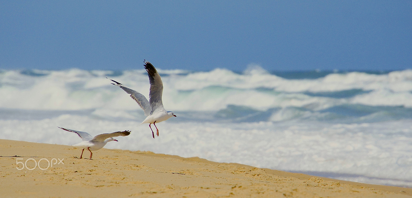 Sony E 18-200mm F3.5-6.3 OSS LE sample photo. Take flight photography