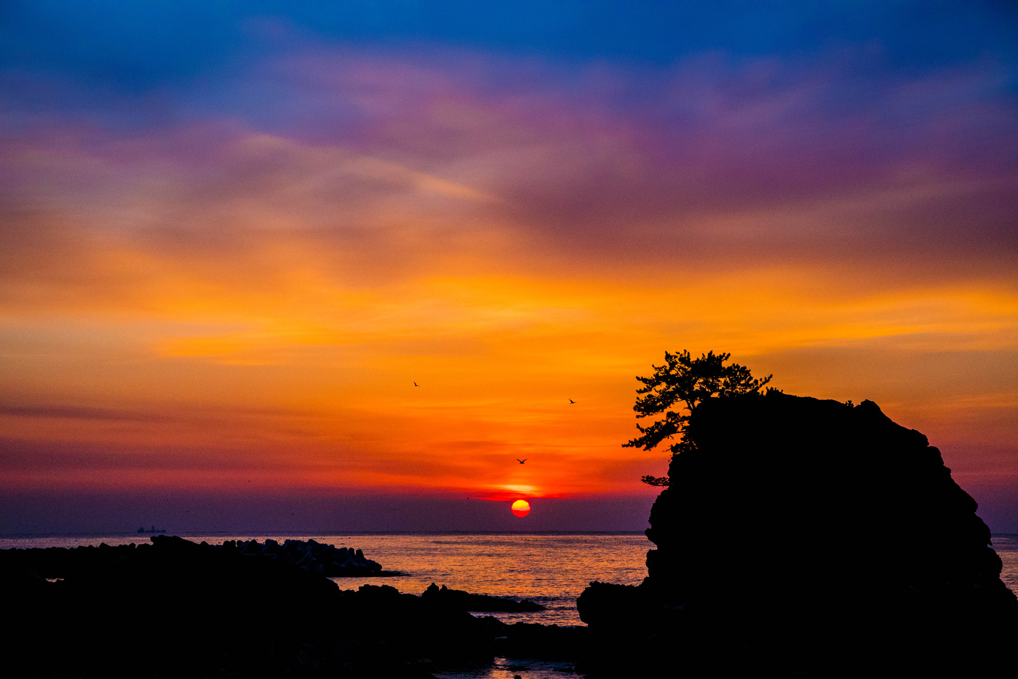 Nikon D500 sample photo. Sunrise photography