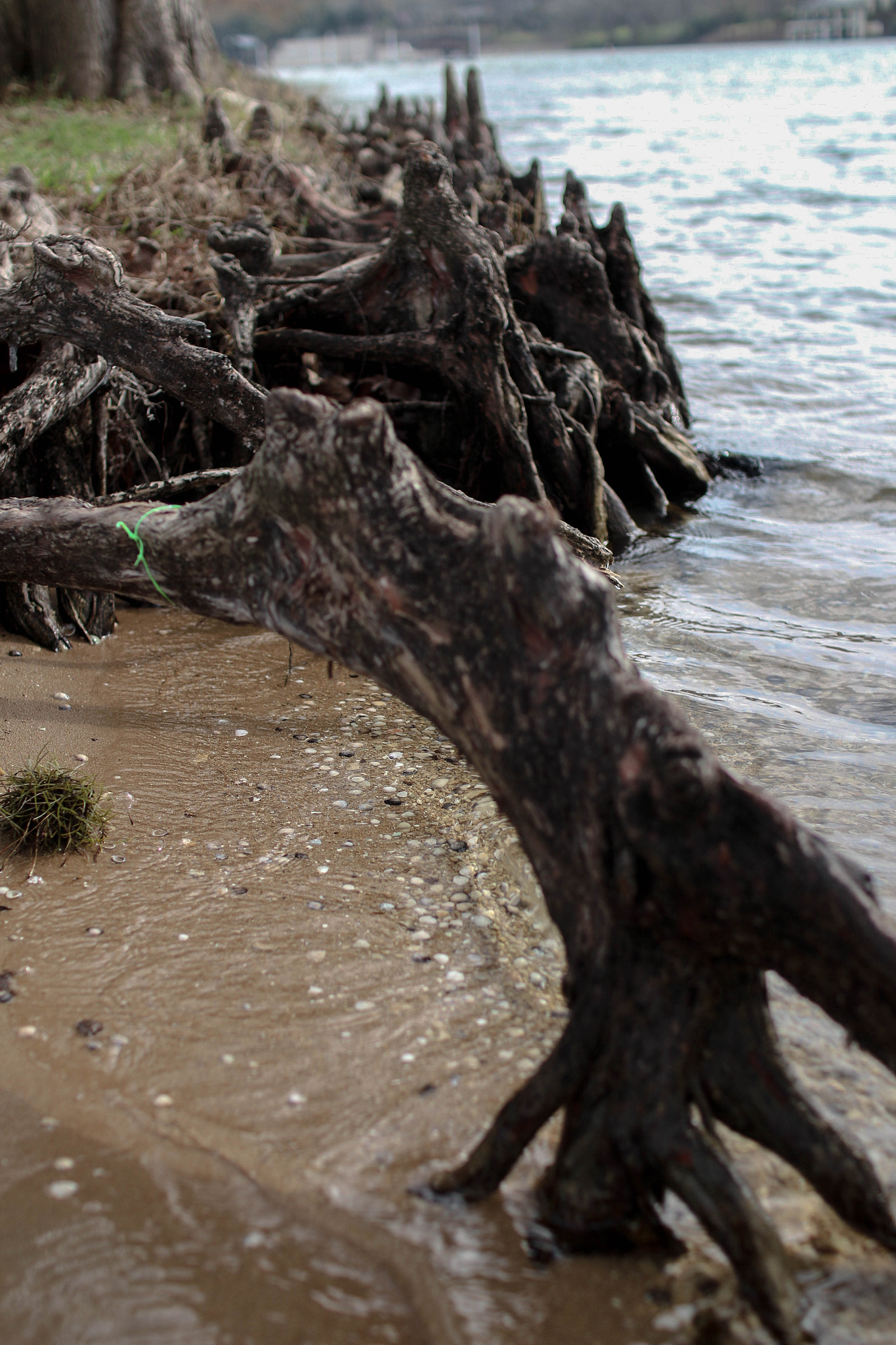 Sigma 30mm F1.4 EX DC HSM sample photo. Sunday calm photography