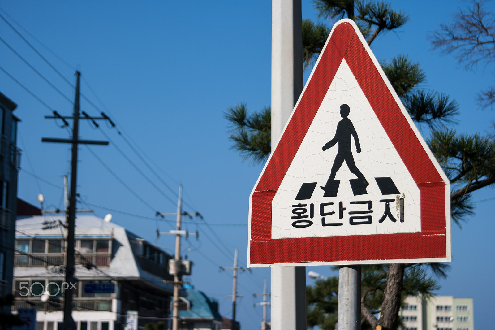 Canon EF 24-85mm F3.5-4.5 USM sample photo. Don't cross, if will cry photography