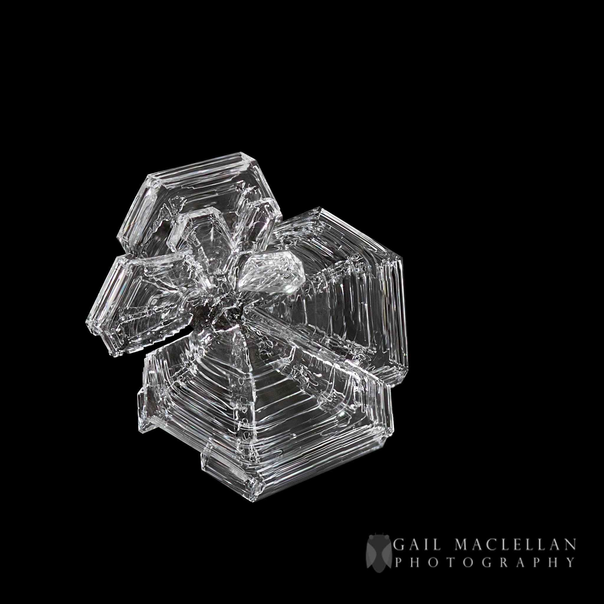 Canon MP-E 65mm F2.5 1-5x Macro Photo sample photo. Frost photography