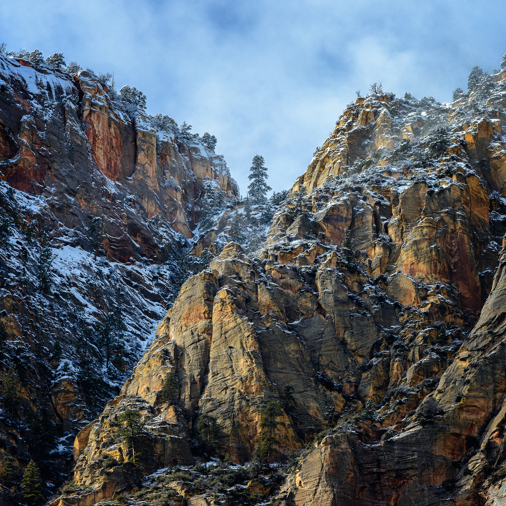 Nikon AF-S Nikkor 70-200mm F4G ED VR sample photo. Lone pine photography