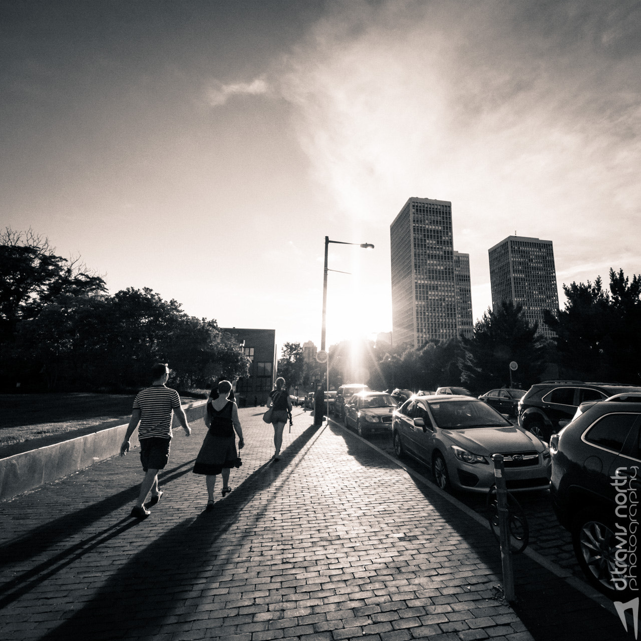 Sigma 8-16mm F4.5-5.6 DC HSM sample photo. 2017: 36 photography
