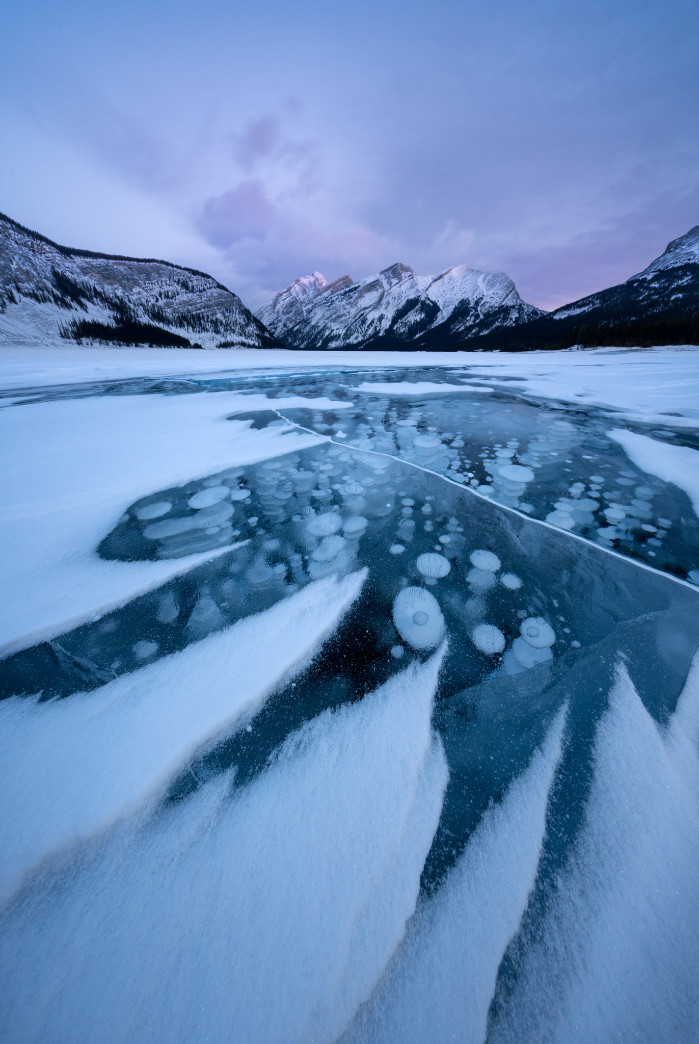 Voigtlander HELIAR-HYPER WIDE 10mm F5.6 sample photo. Dawn ice octopus photography