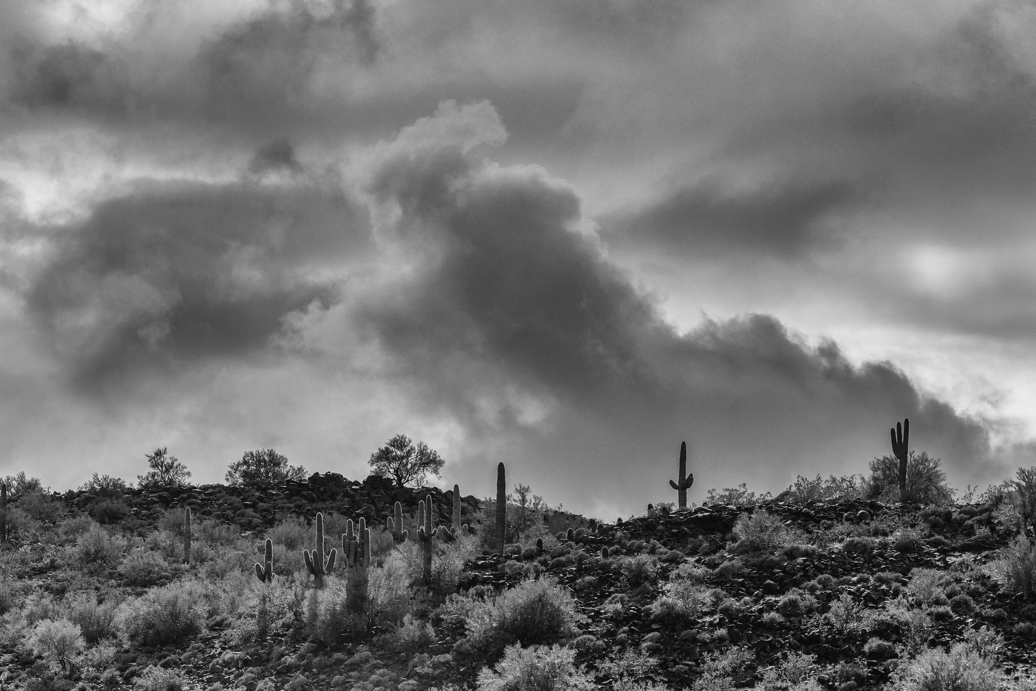 Canon EOS 6D + Canon EF 70-200mm F2.8L USM sample photo. Stormclouds in the desert photography