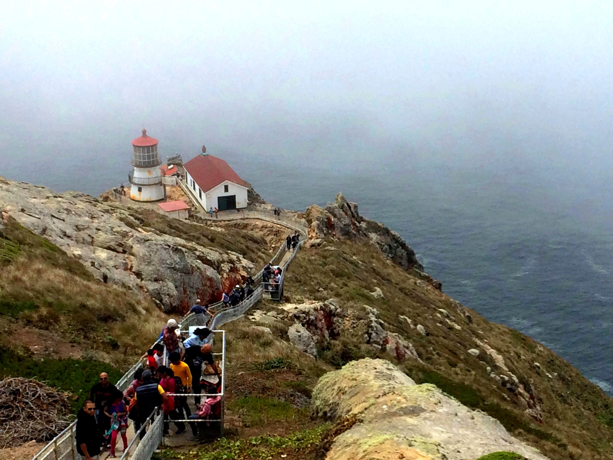 Jag.gr 645 PRO Mk III for Apple iPhone 5s sample photo. Point reyes lighthouse photography