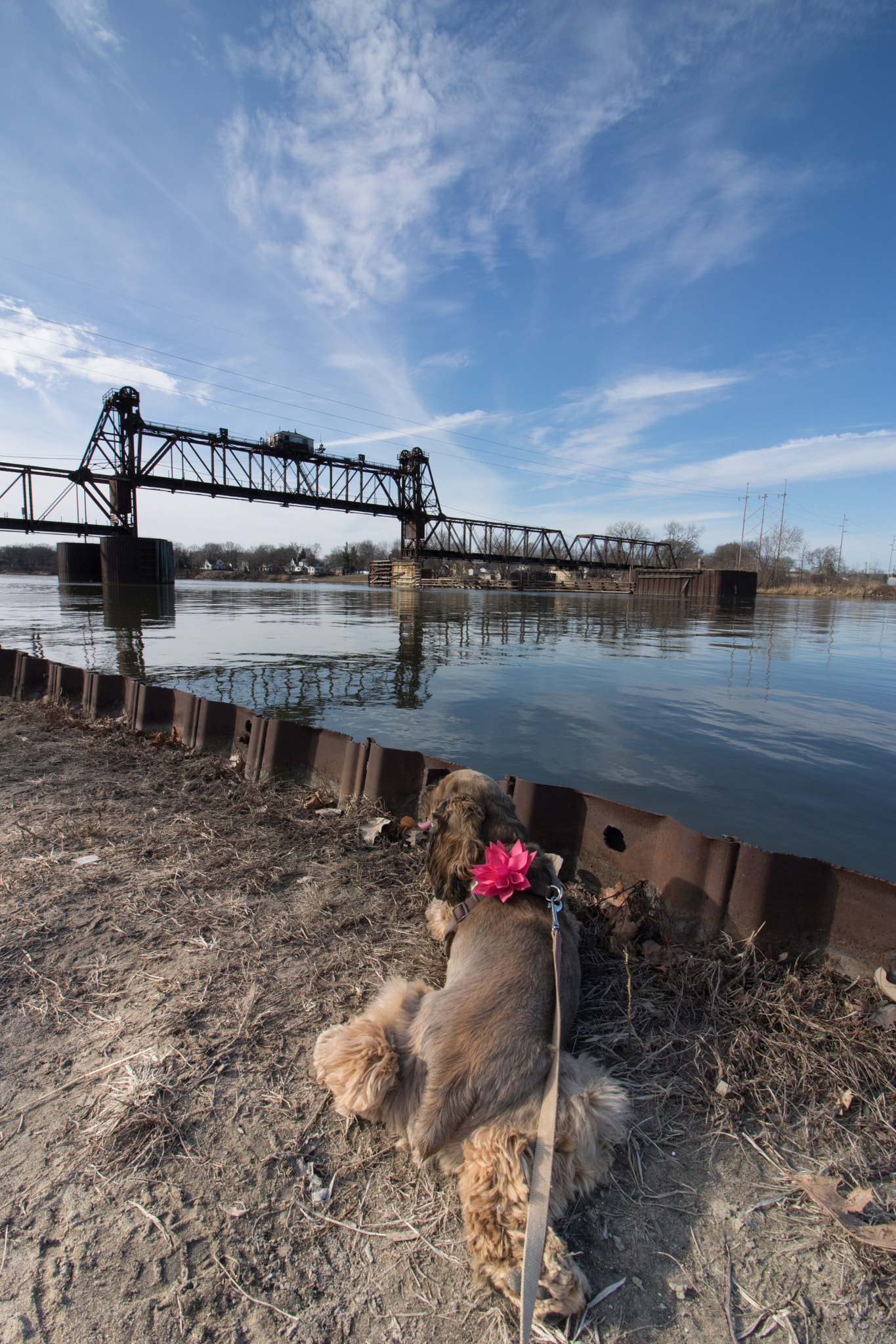 Canon EOS 750D (EOS Rebel T6i / EOS Kiss X8i) sample photo. Cinder the bridge surveyor  photography