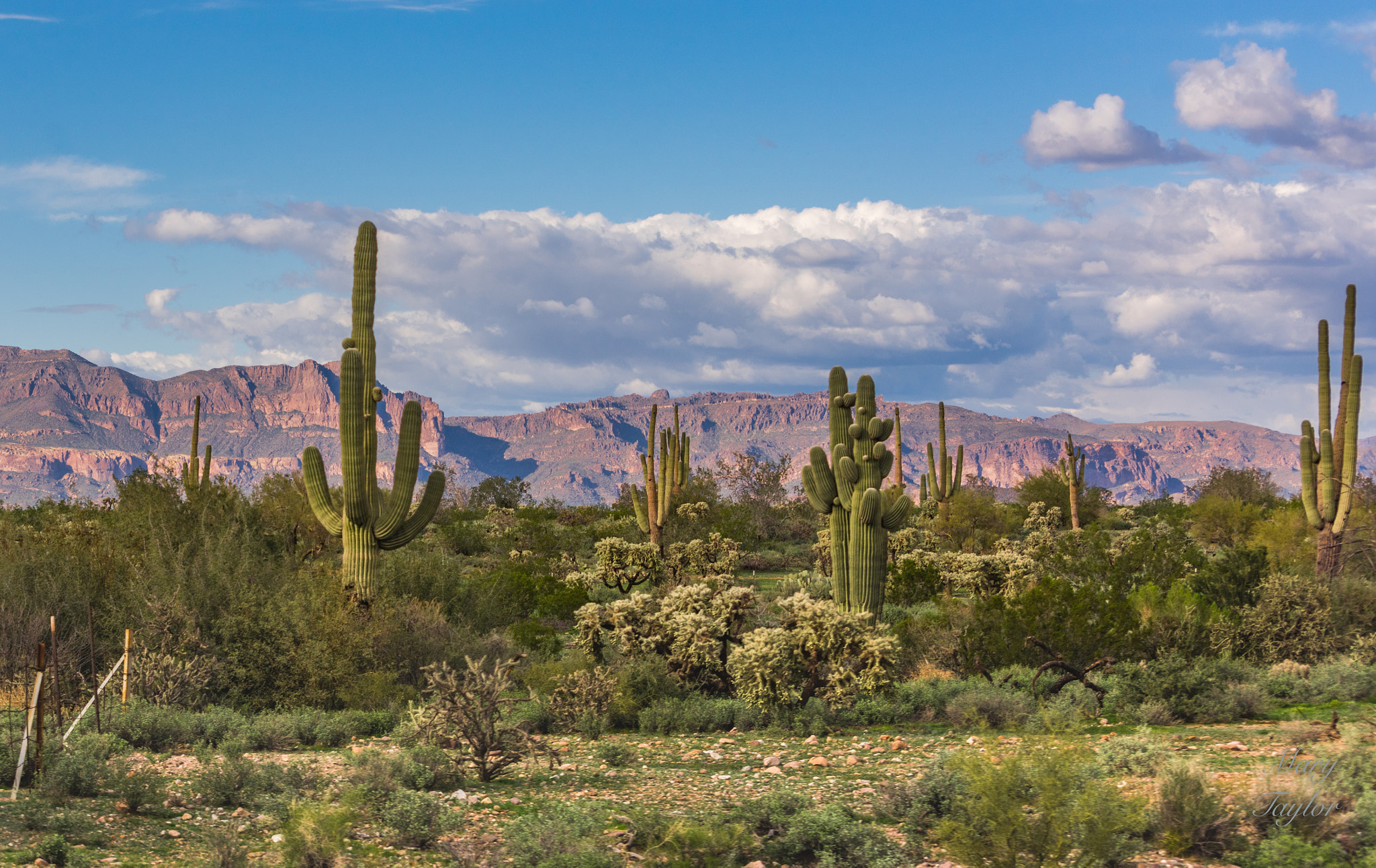 Nikon D810 sample photo. Superstition wonder photography