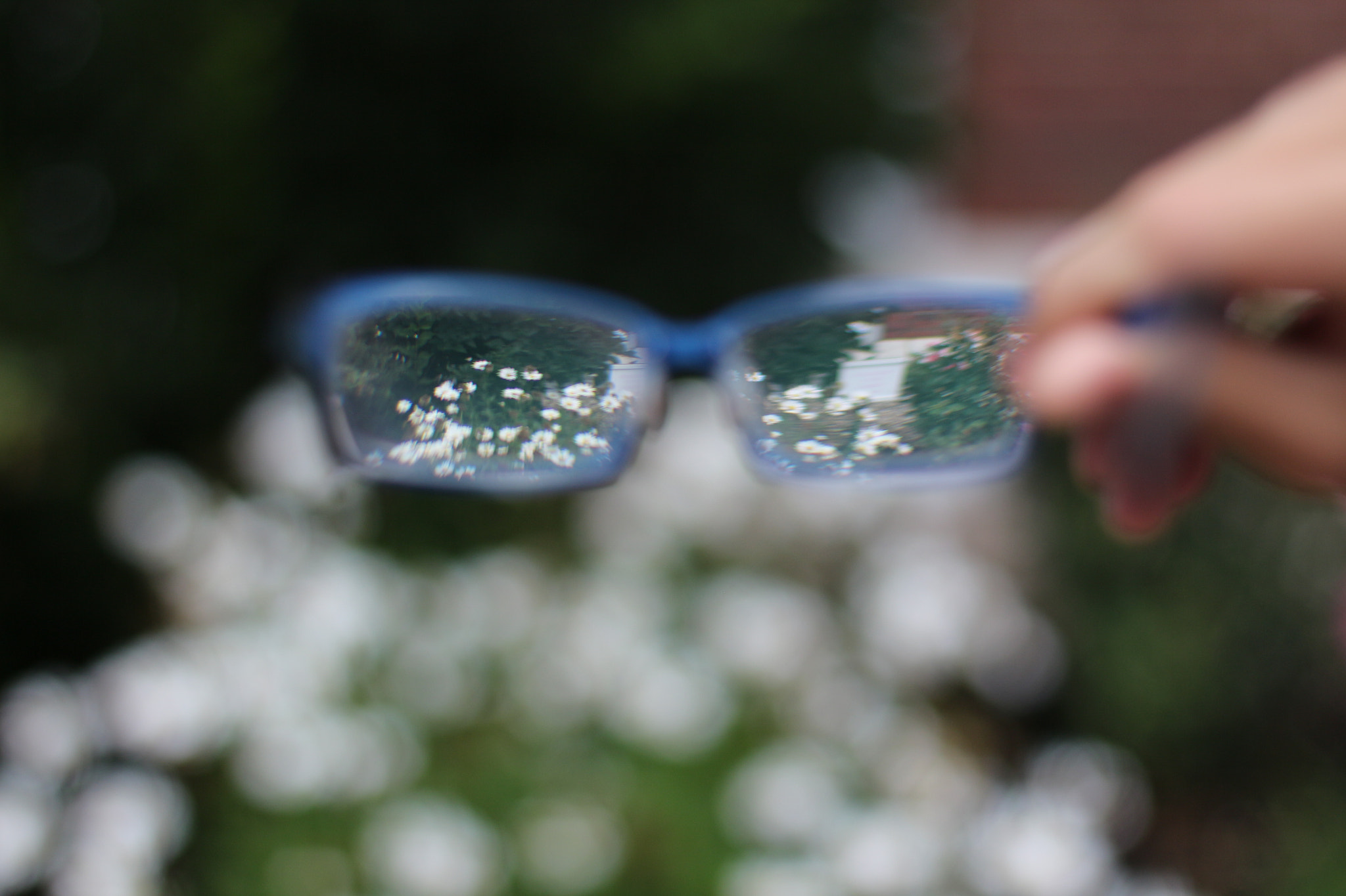 Canon EOS 650D (EOS Rebel T4i / EOS Kiss X6i) + Canon EF 50mm F1.4 USM sample photo. Through new eyes photography