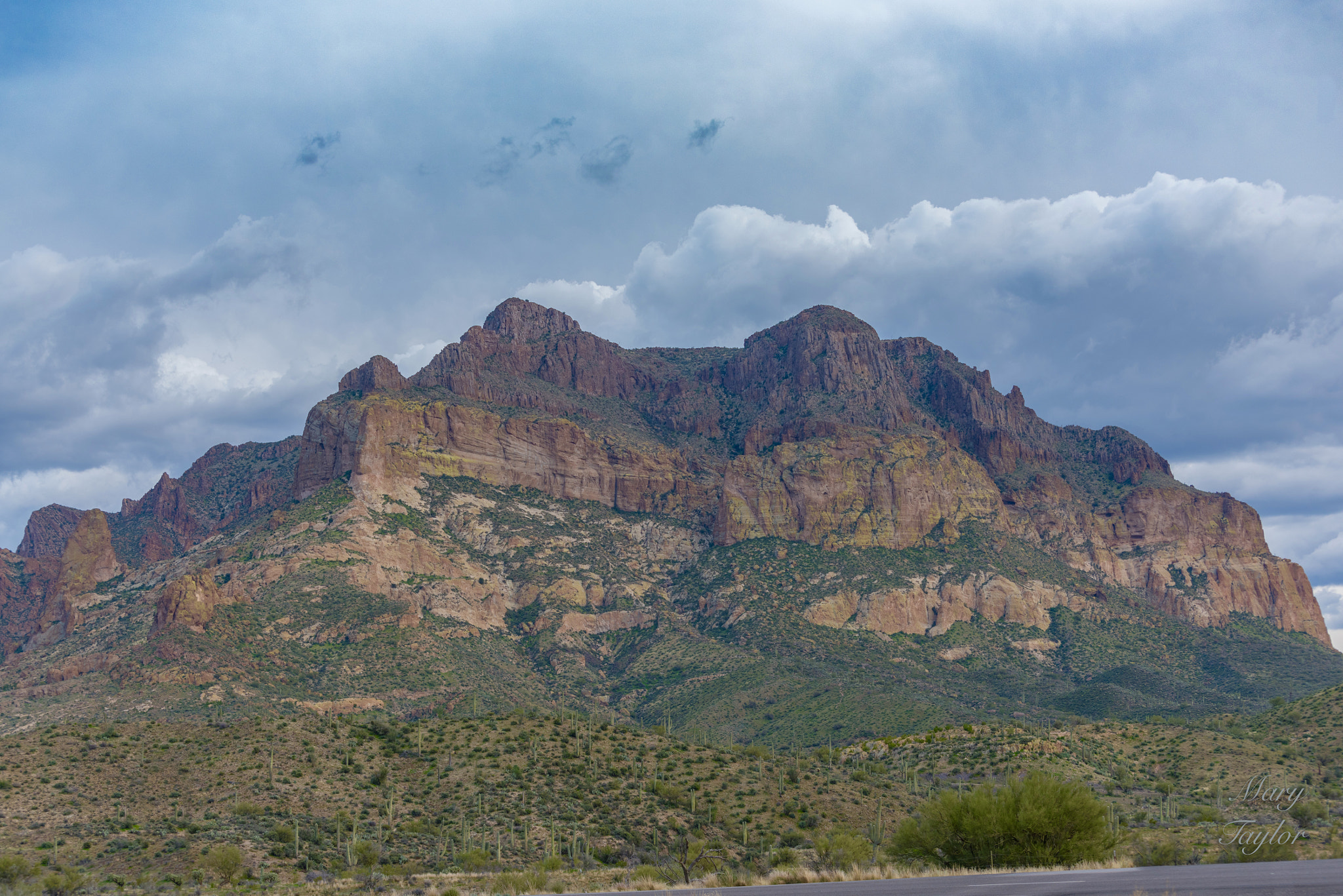 Nikon D810 sample photo. Picket post mountain photography