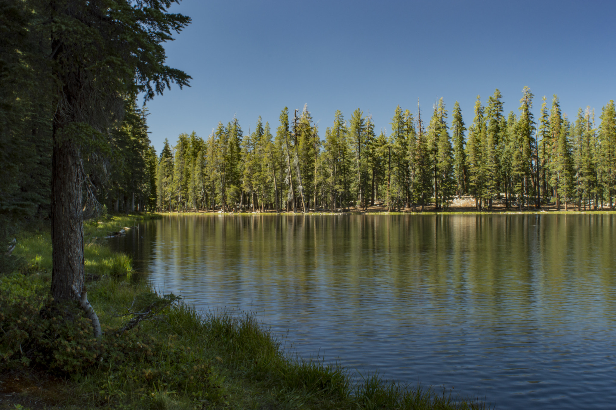 Nikon D3200 + Nikon AF Nikkor 24mm F2.8D sample photo. The shoreline photography