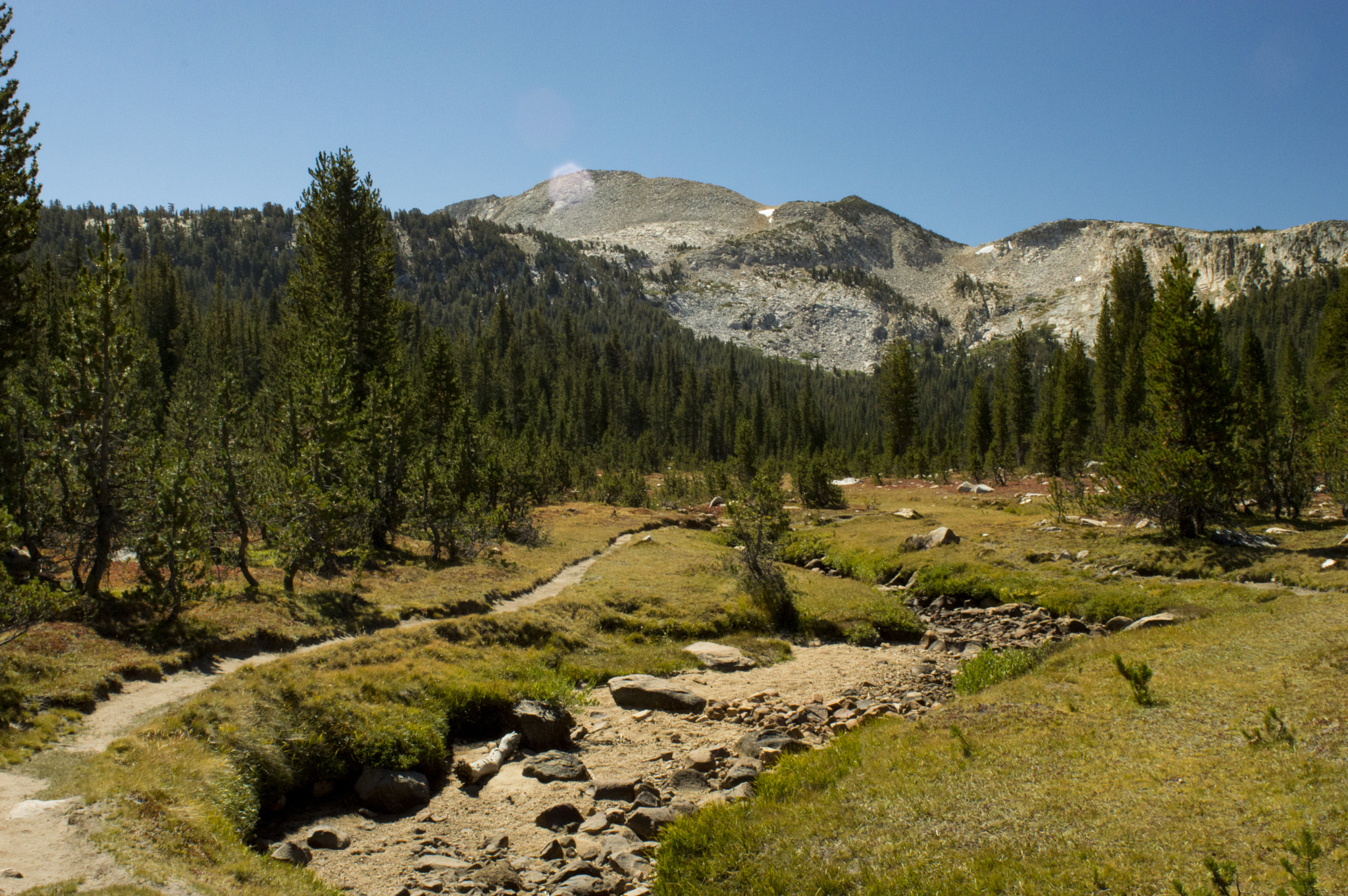 Nikon D3200 sample photo. Yosemite photography