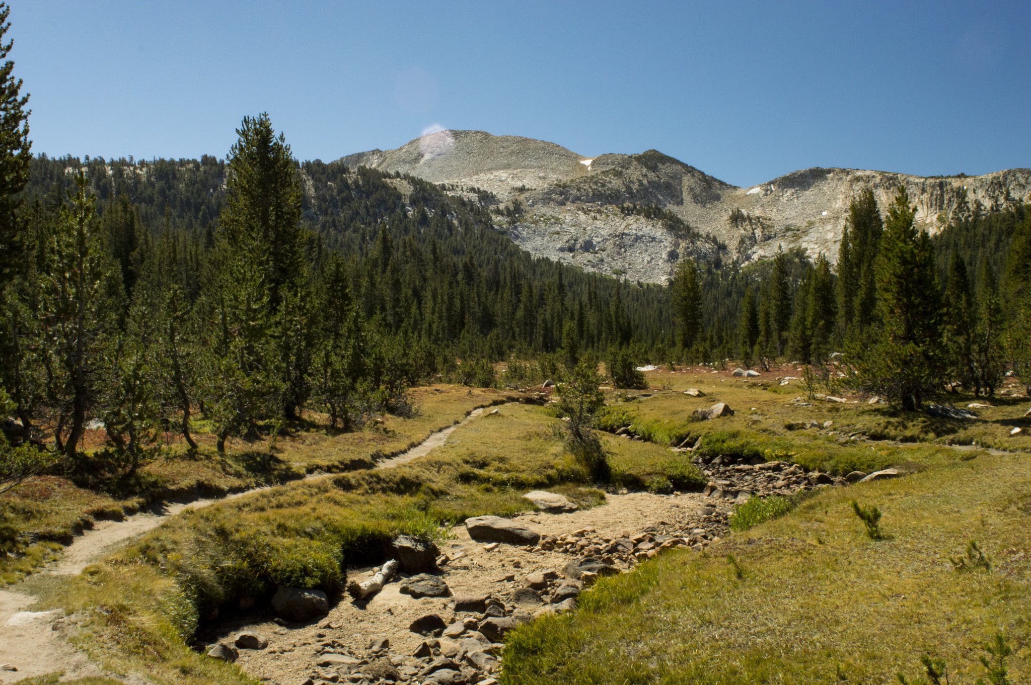 Nikon AF Nikkor 24mm F2.8D sample photo. Yosemite photography