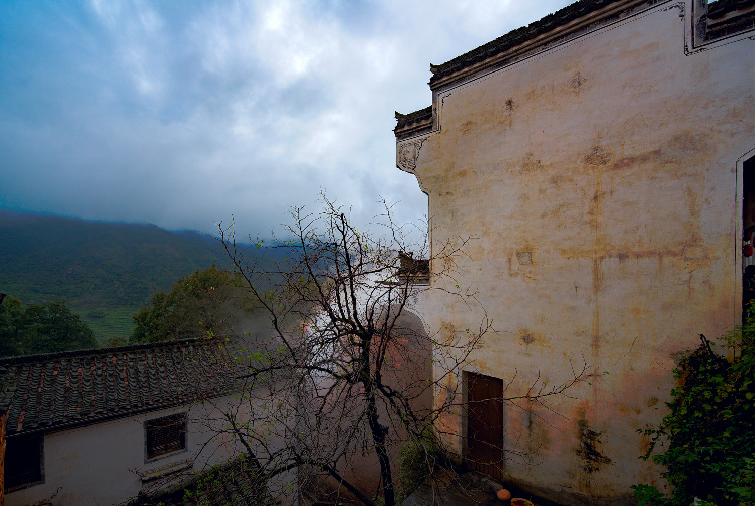Nikon D810 sample photo