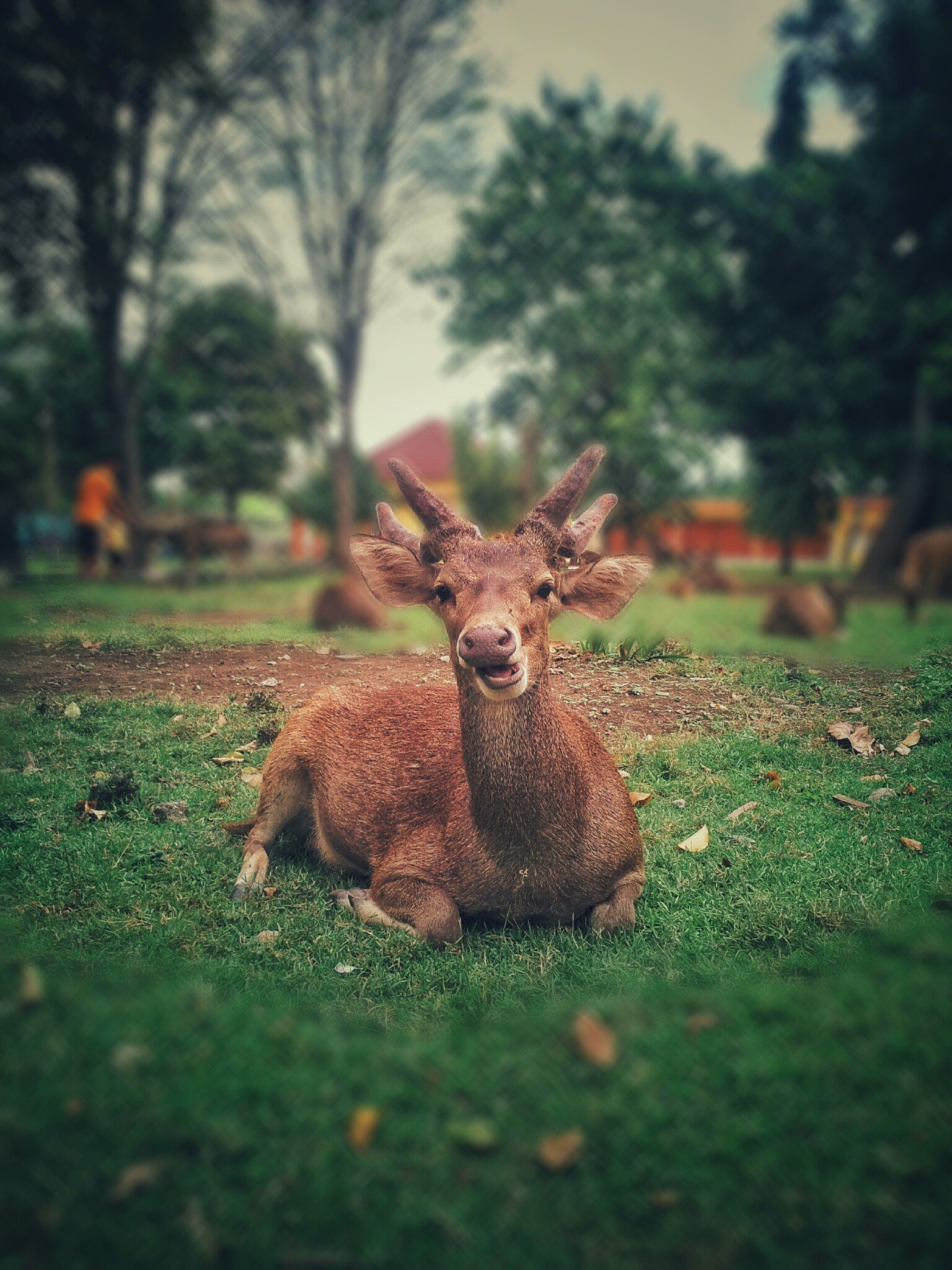 Samsung Galaxy Note sample photo