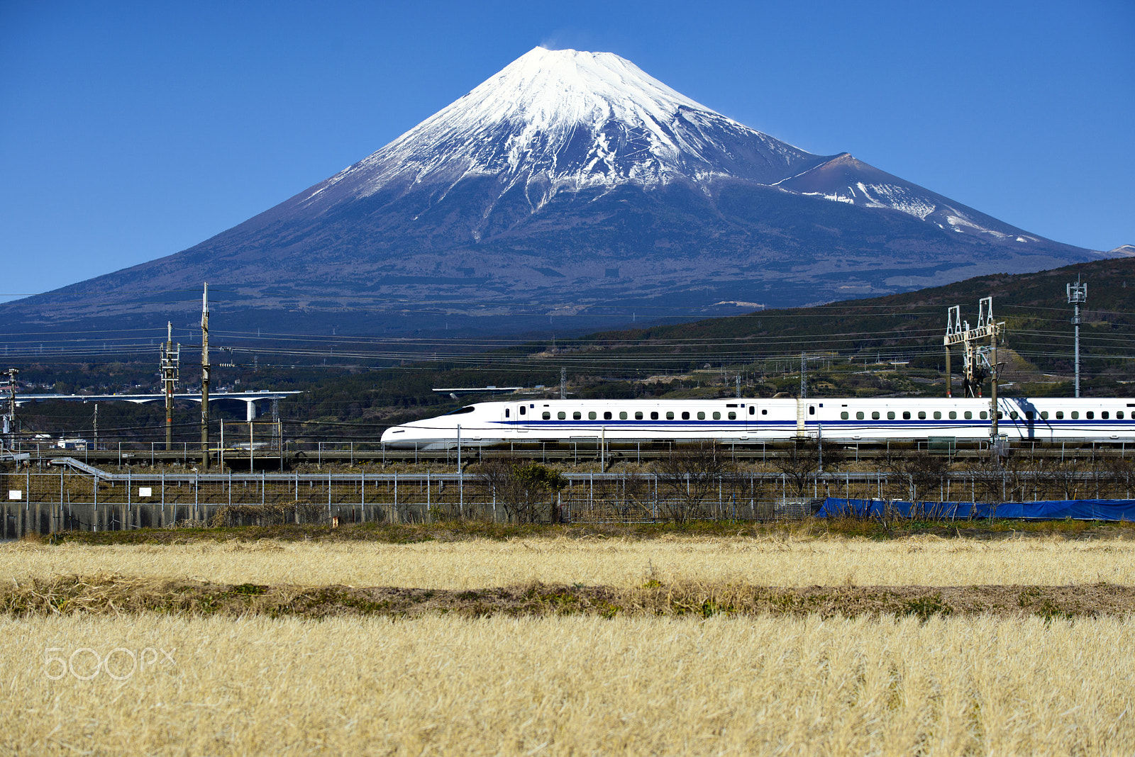 Nikon D610 sample photo. Tokaido shinkansen and shinkansen at shizuoka photography