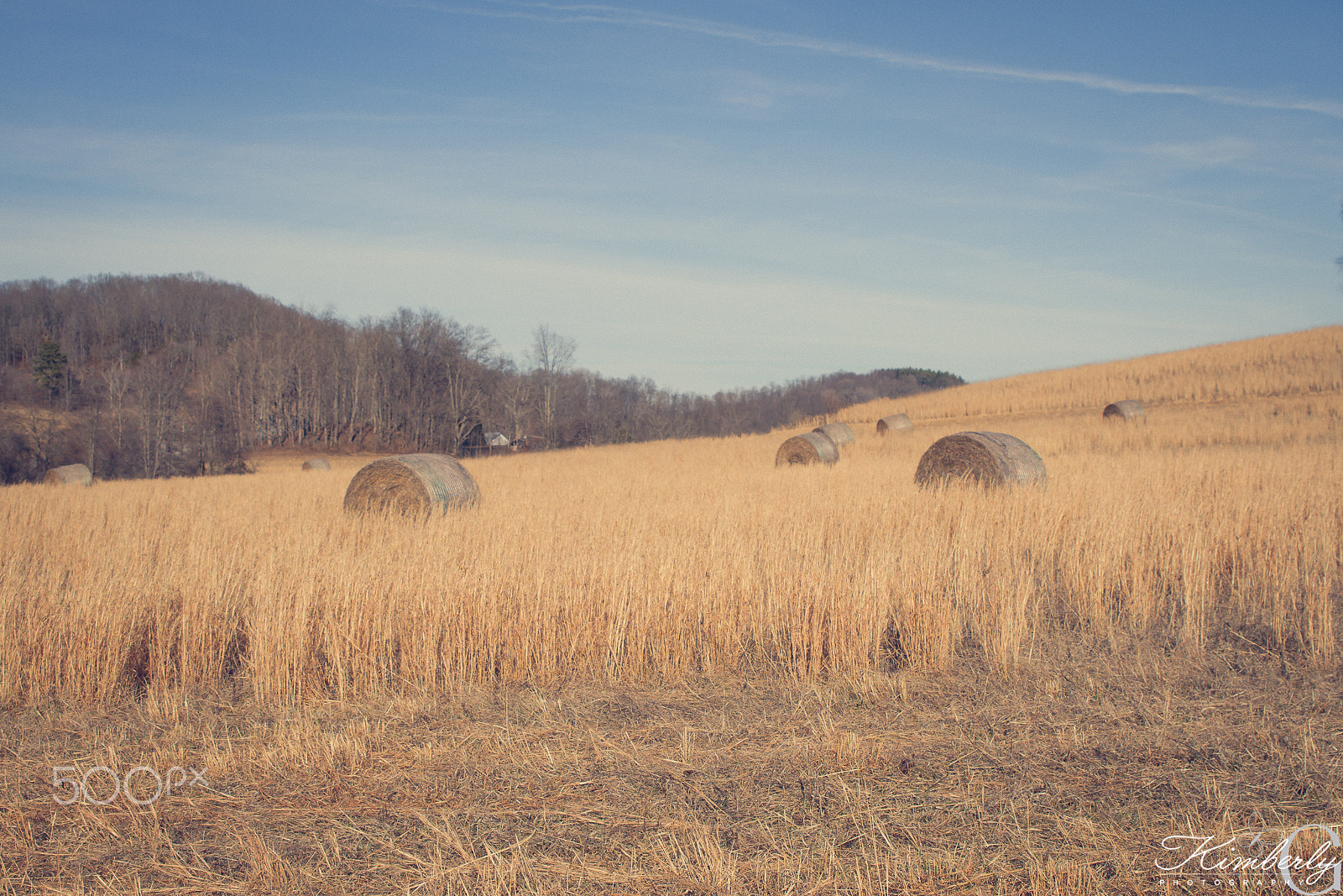 Canon EOS 7D sample photo. Down the road in ohio photography