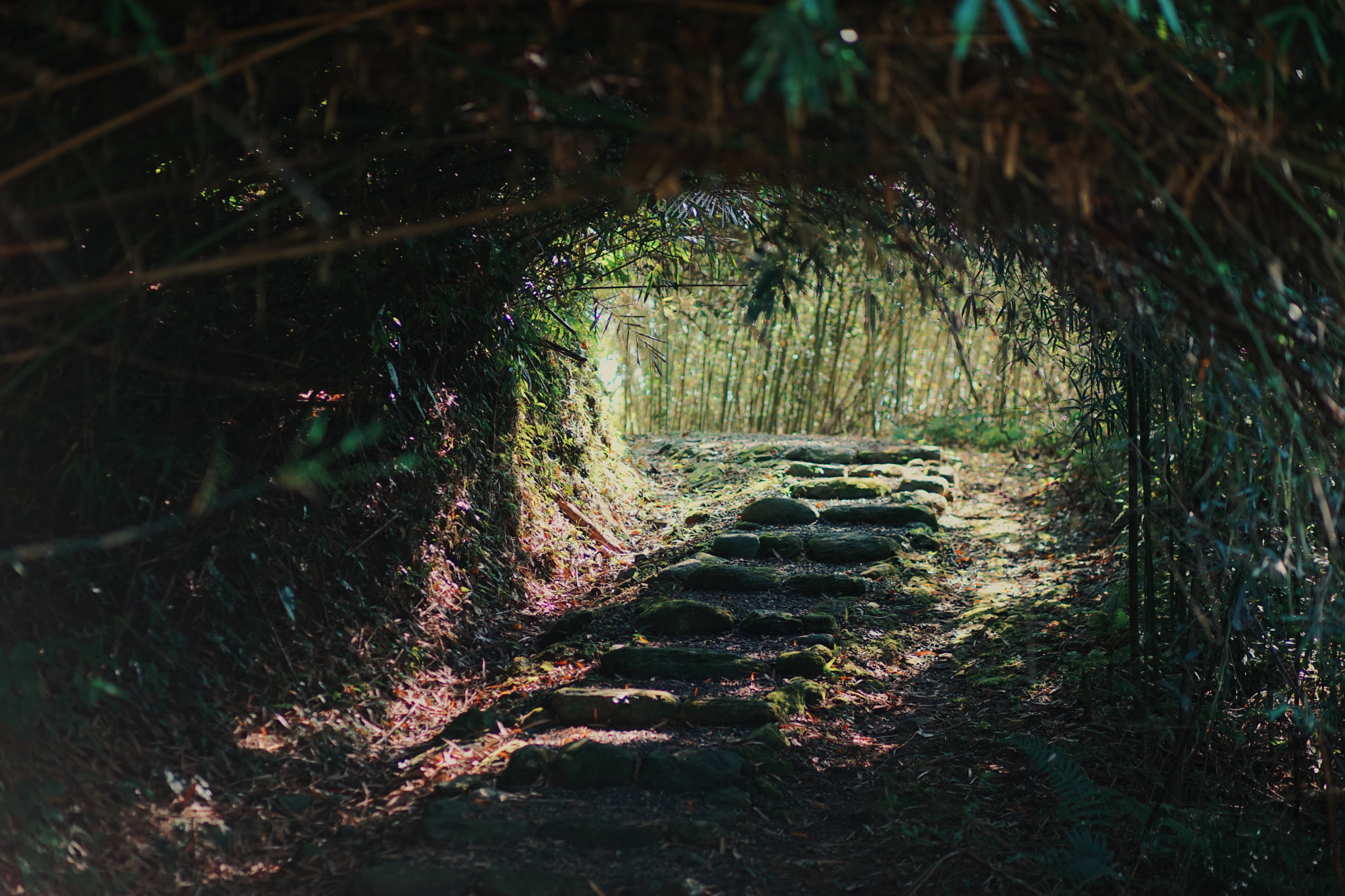 Sony a7 sample photo. Secret tunnel. photography