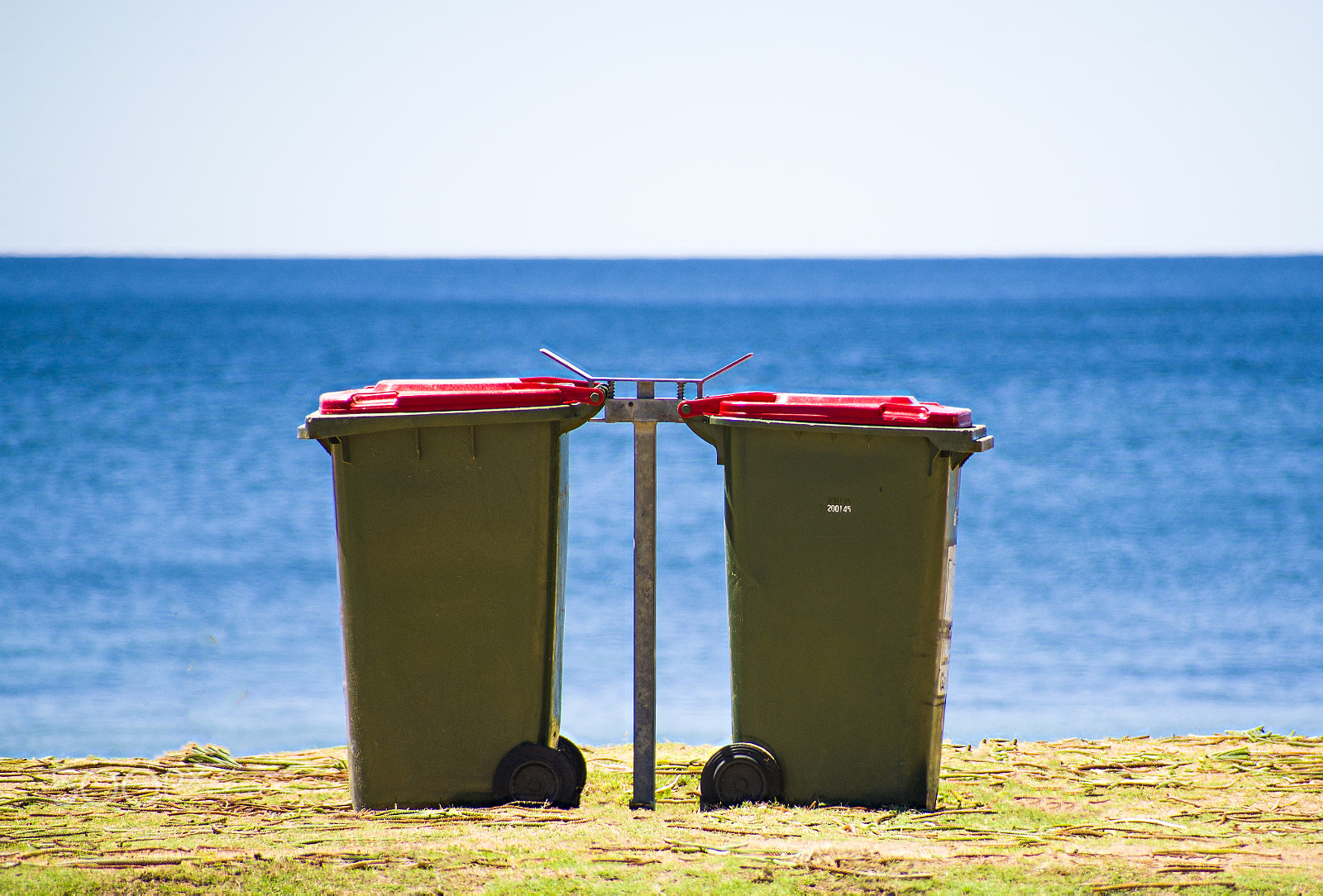 Nikon D600 sample photo. A bin with a view, what a view...palm beach sydney photography