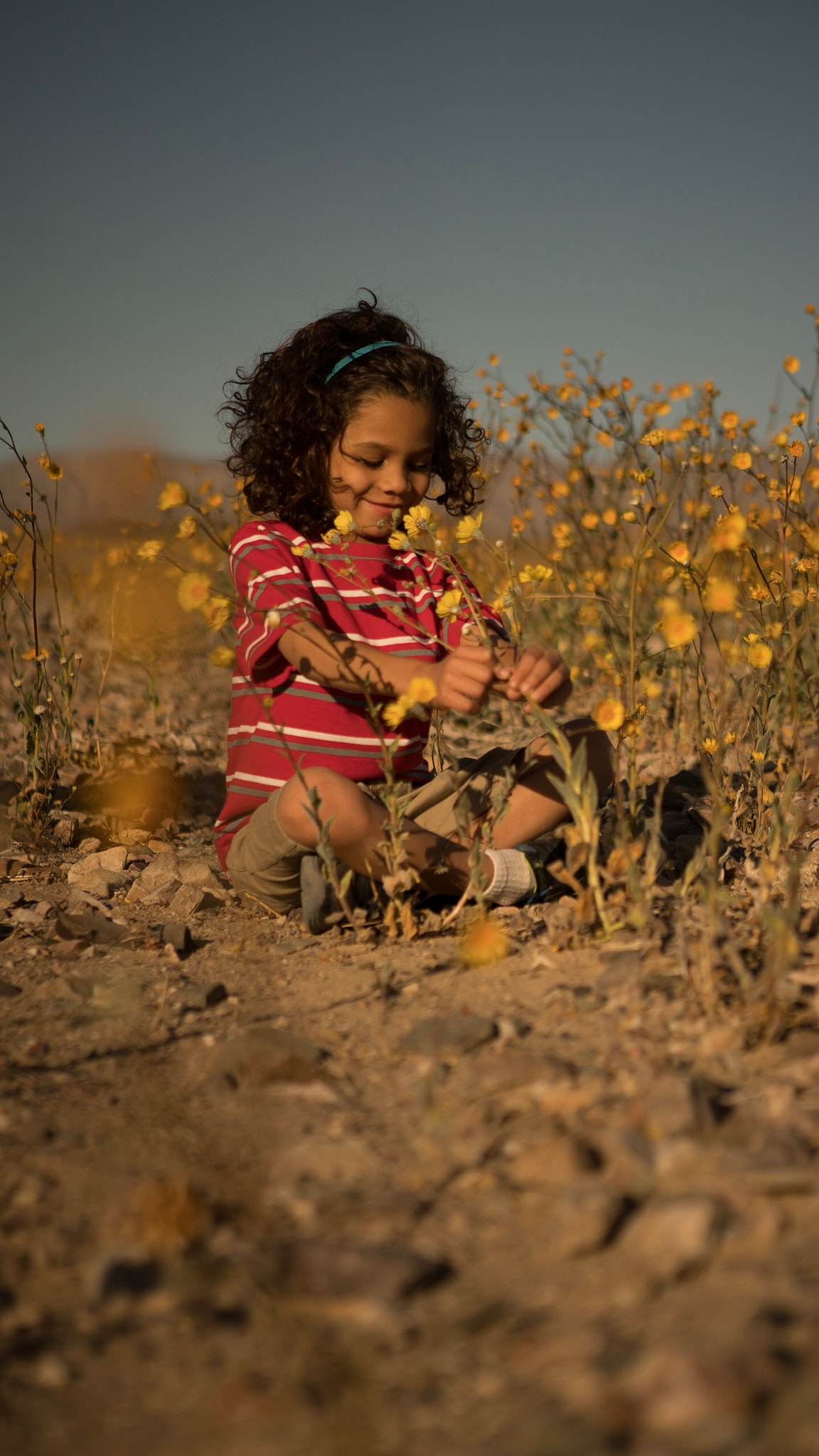 24-70mm F2.8 G SSM sample photo. Super bloom photography