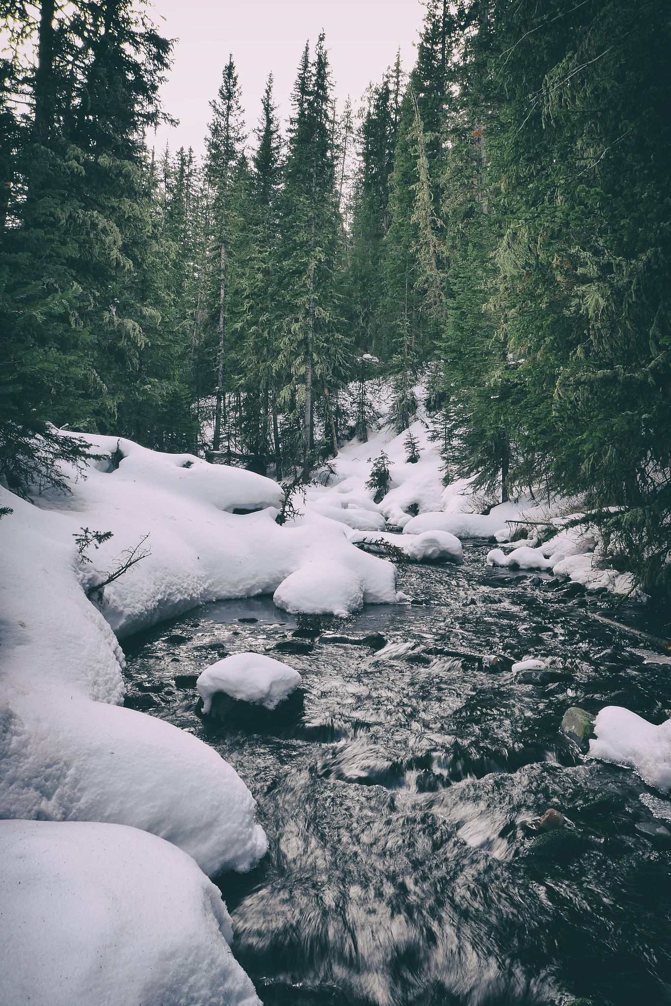 Panasonic Lumix DMC-GX7 sample photo. Hyalite creek photography