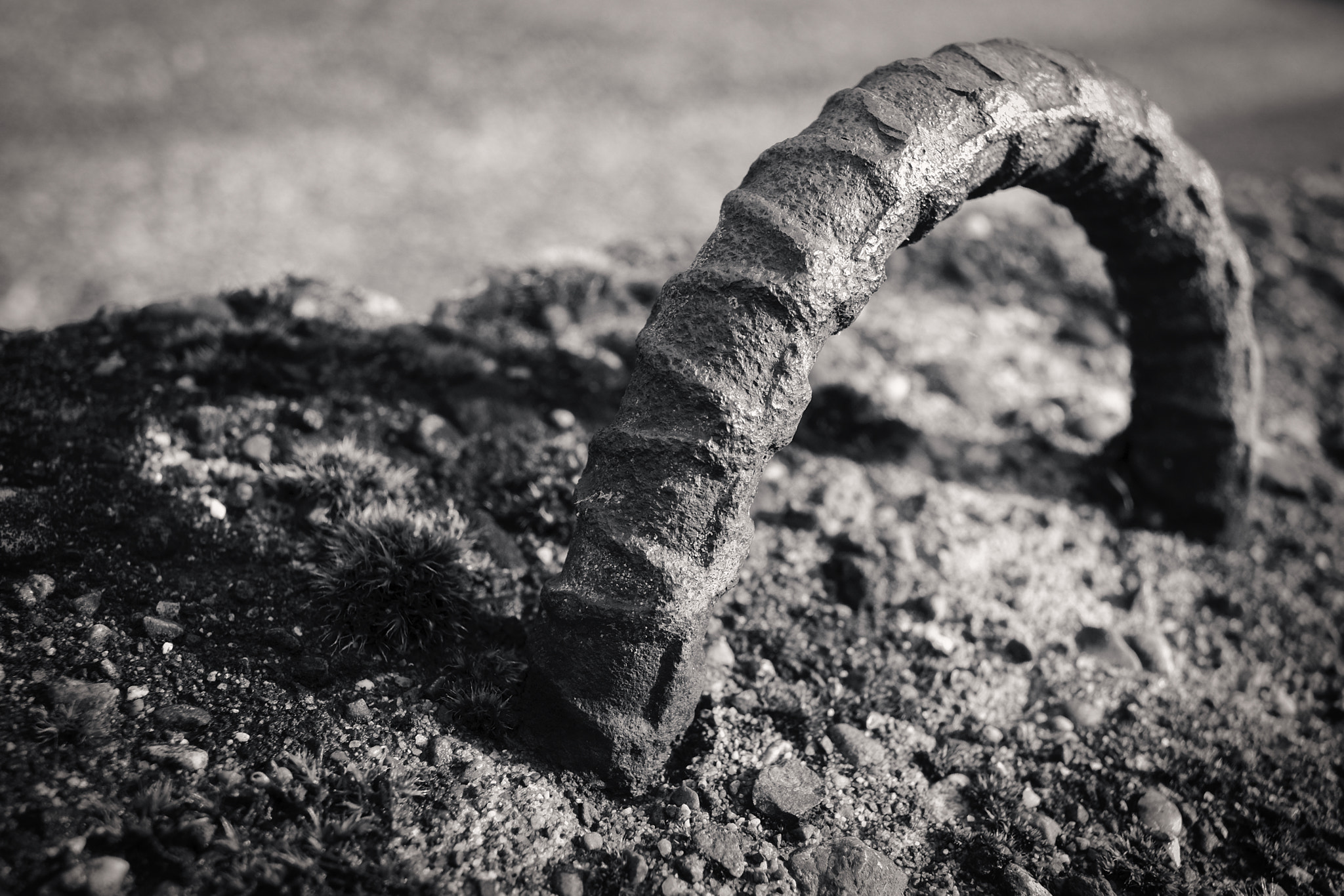Fujifilm X-Pro1 + Fujifilm XF 18mm F2 R sample photo. Fossil slinky photography