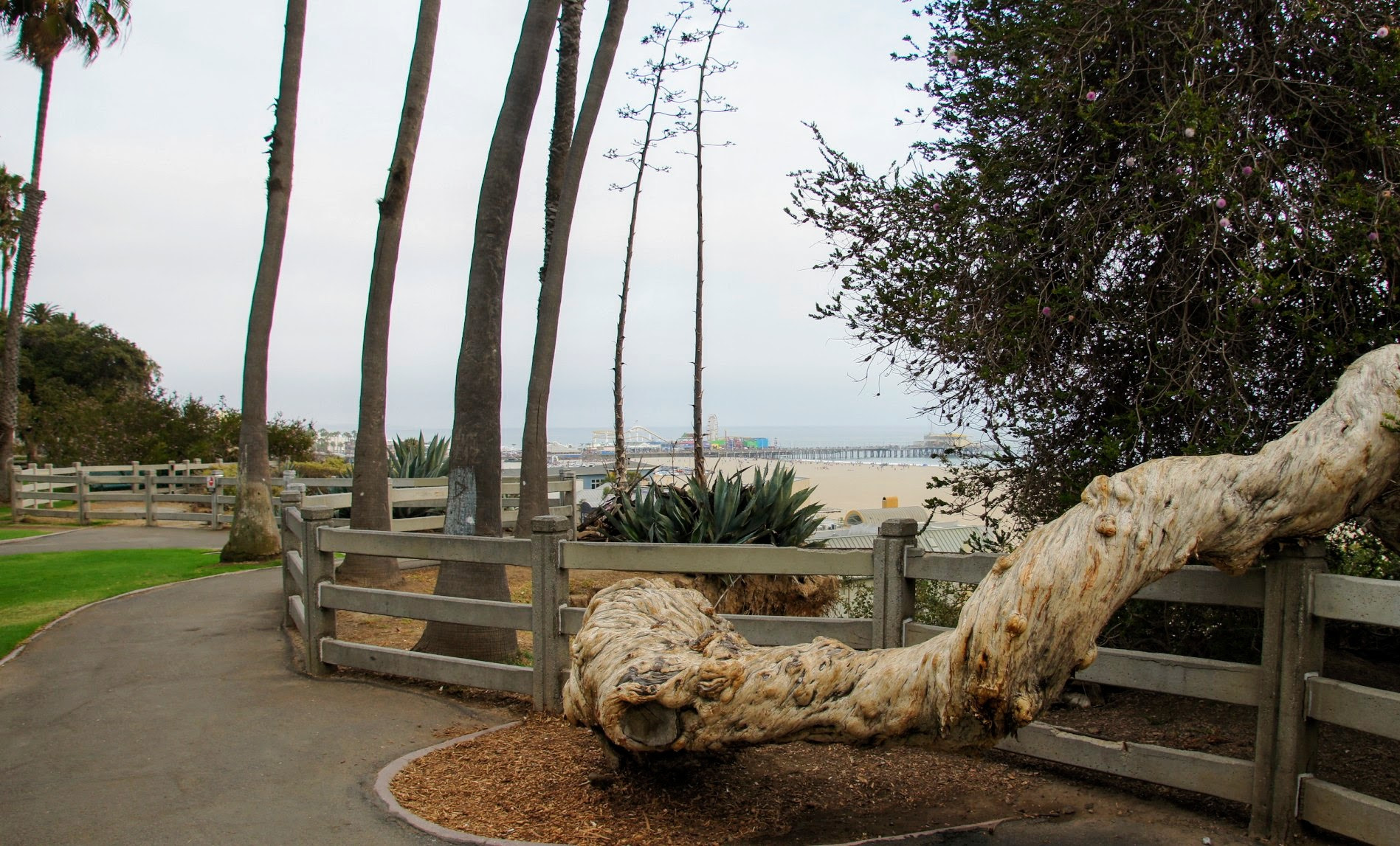 Sony SLT-A33 + Sony DT 16-105mm F3.5-5.6 sample photo. Santa monica beach photography